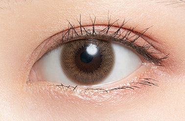 ทรูฟ | 1วัน