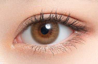 ทรูฟ | 1วัน