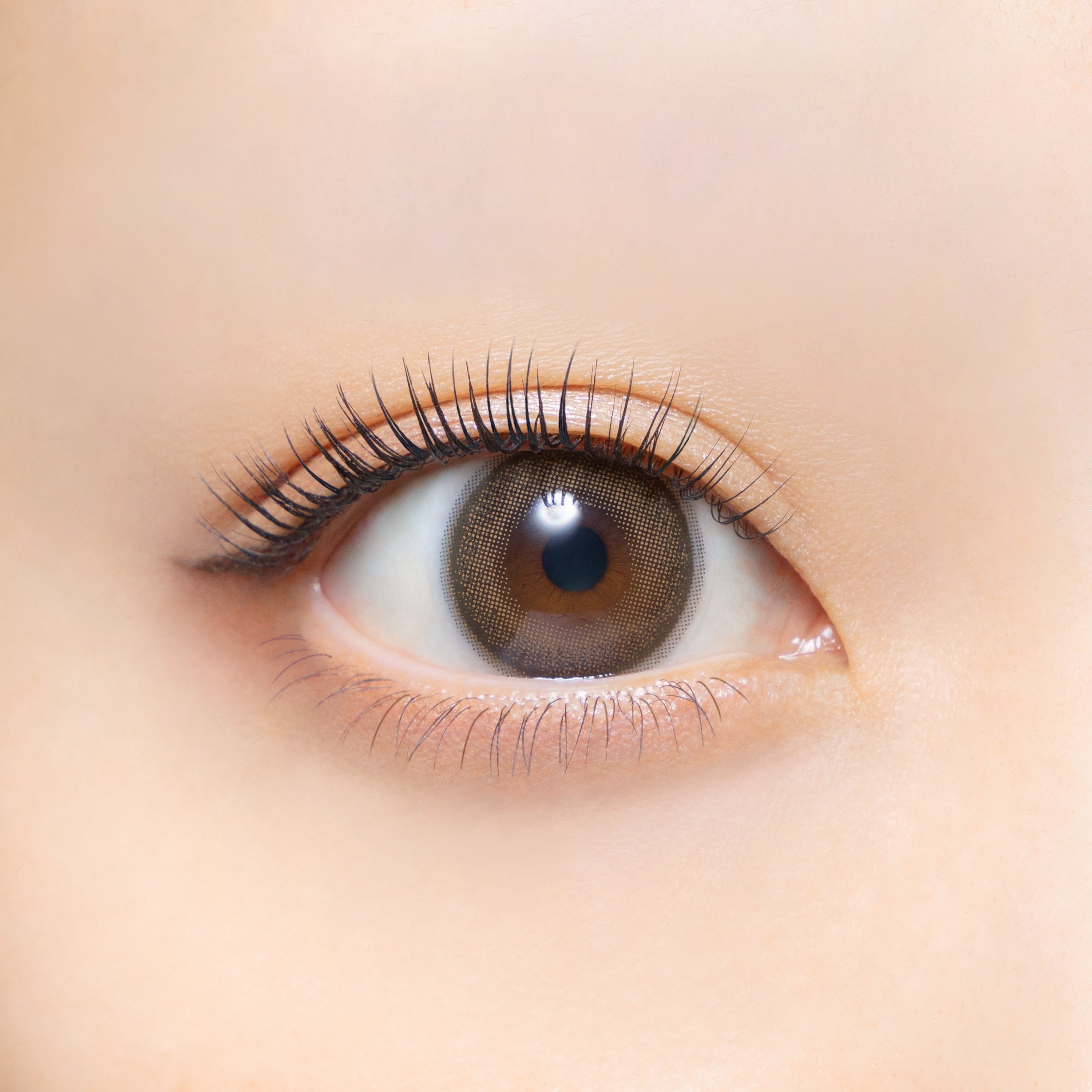 سيبيامود | 1 يوم