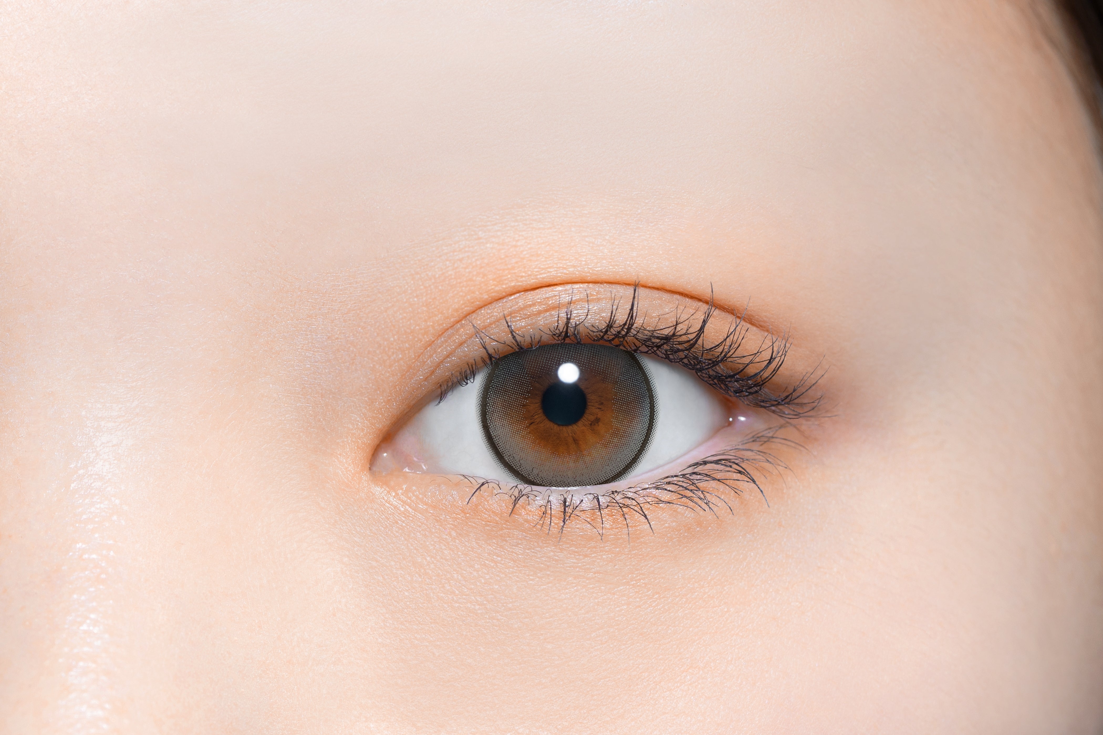 كوالاالرمادي | 1 يوم