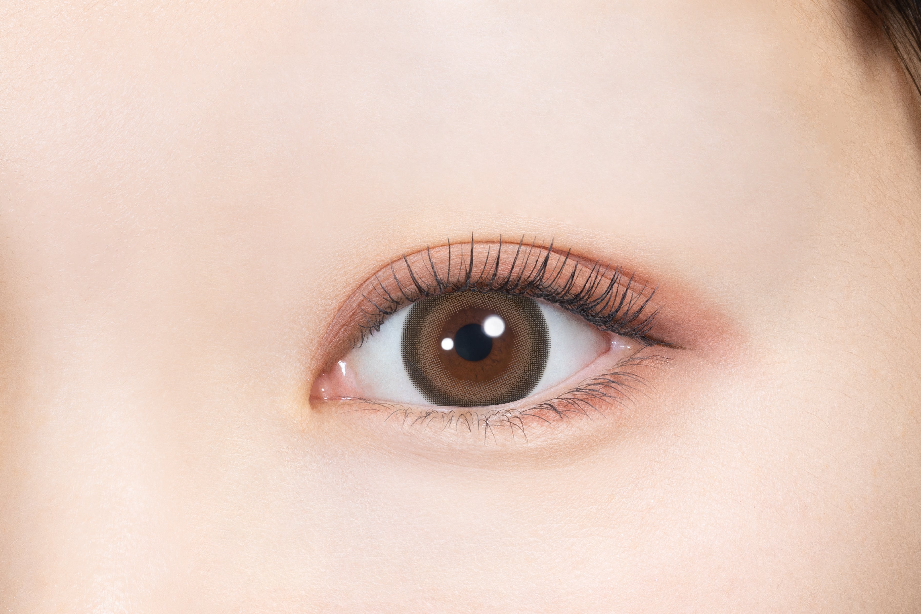 Prinses Syokora | 1hari