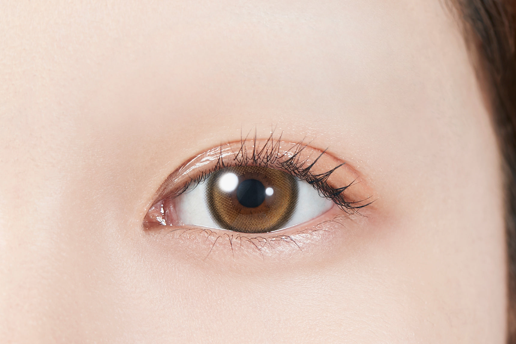 ทวินเคิลสีน้ำตาล | 1วัน