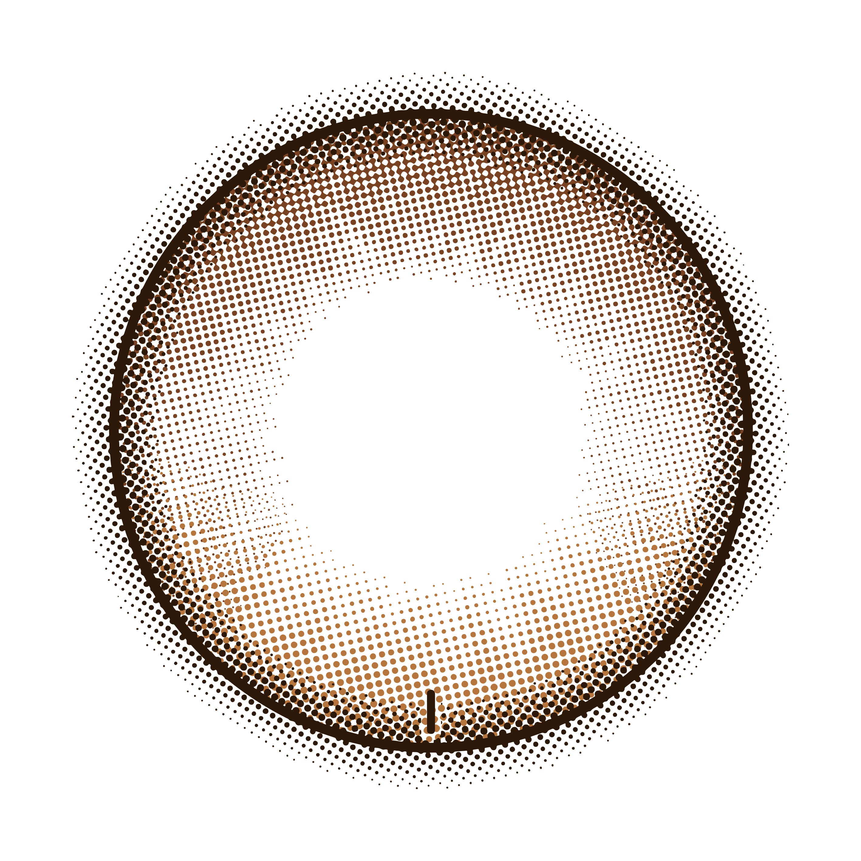 โดริッシュสีน้ำตาล เลนส์โทริก | 1วัน