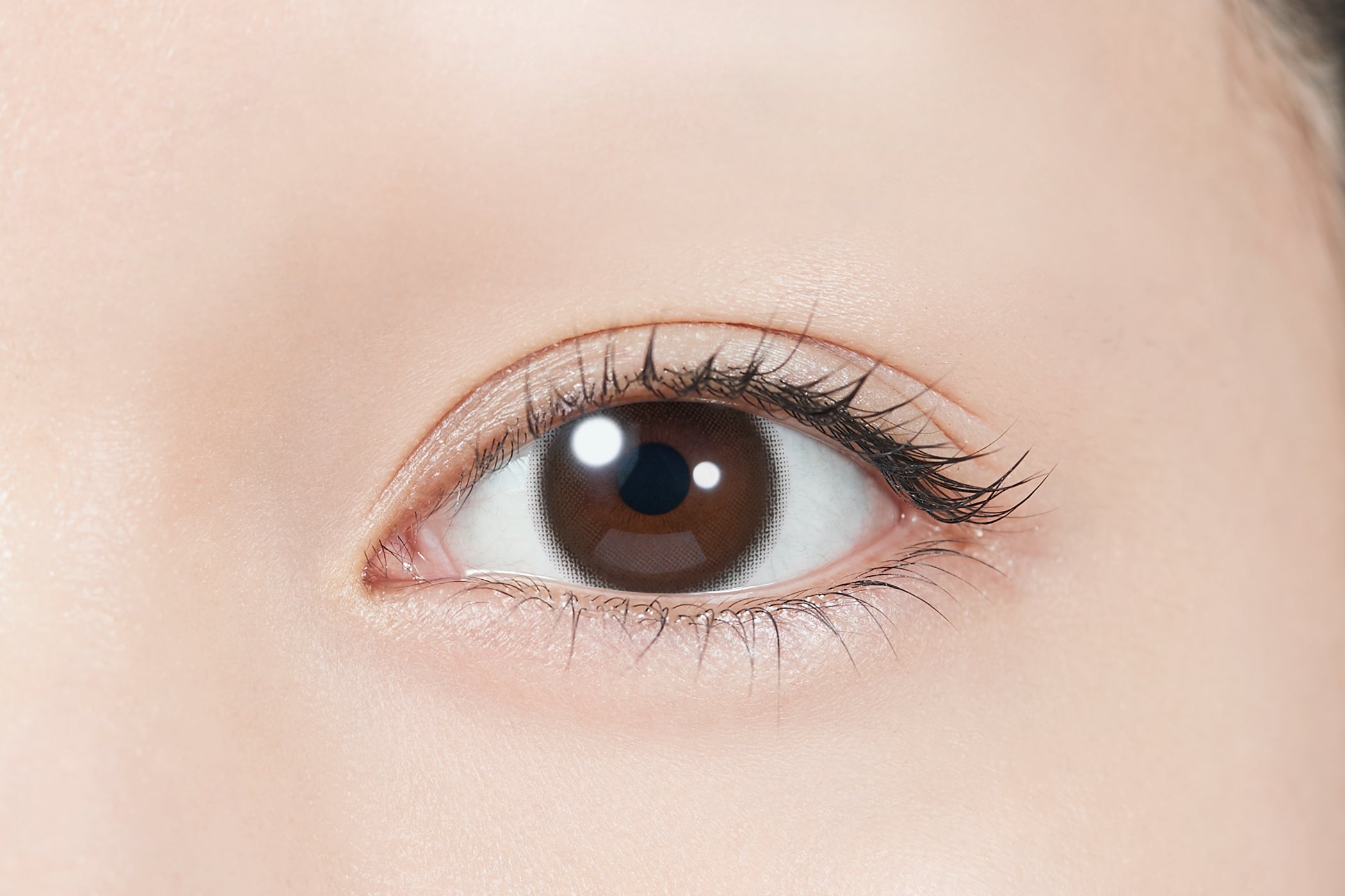 إسبريسو الأطفال |. 1 يوم