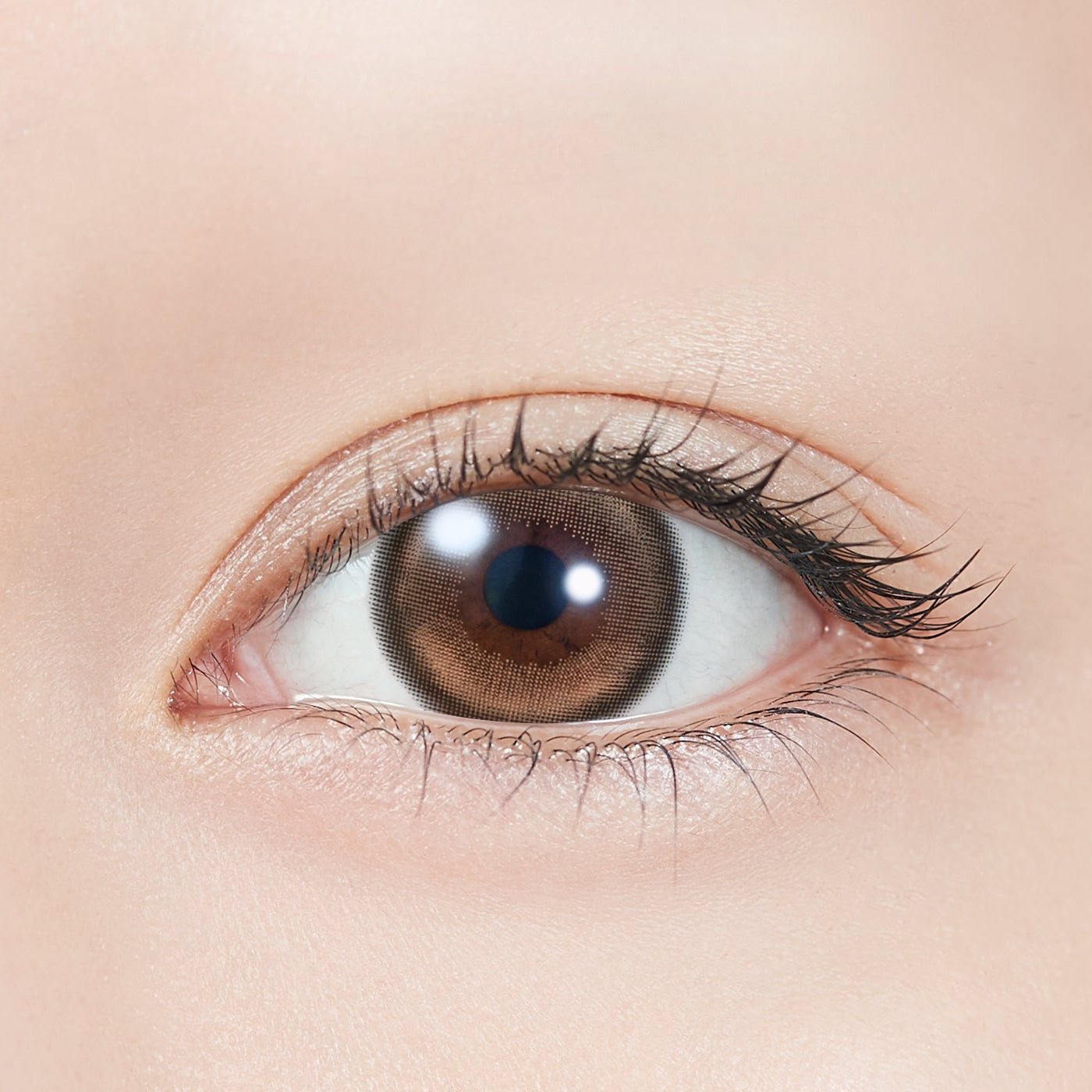 MoonmeltMarron | 1 jour