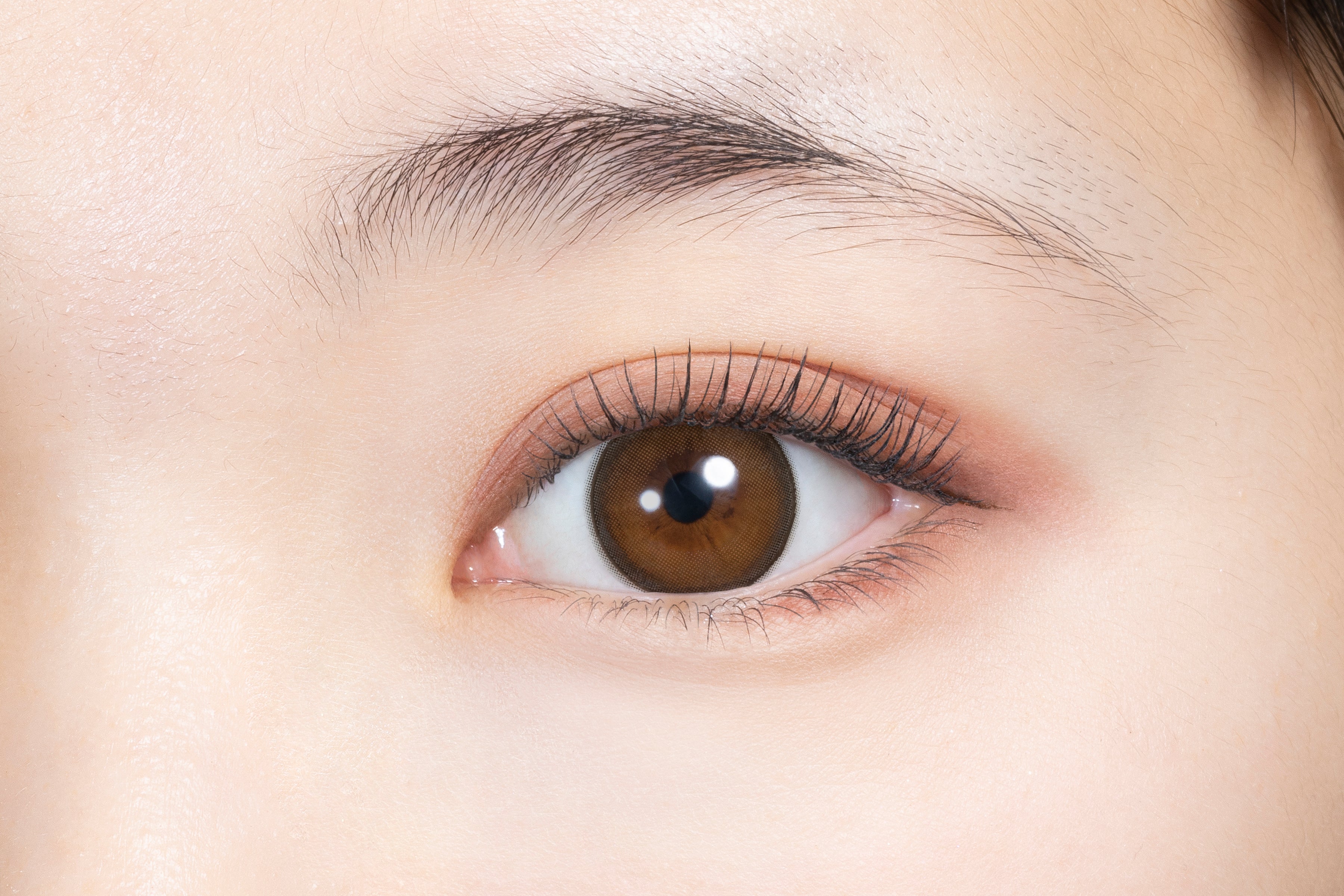 Toque de inatividade |. 1 dia