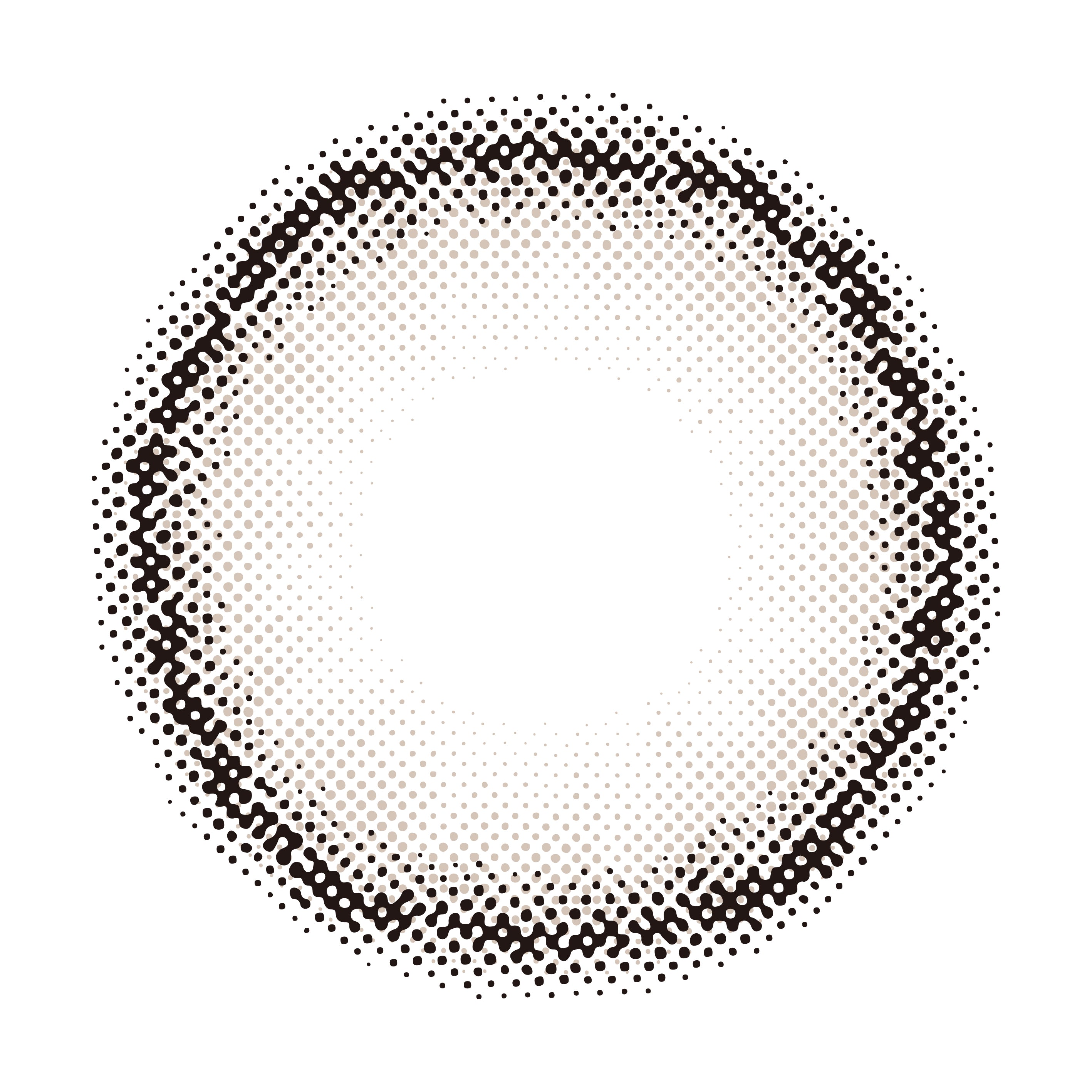 โซลทีโดนัท | 1วัน