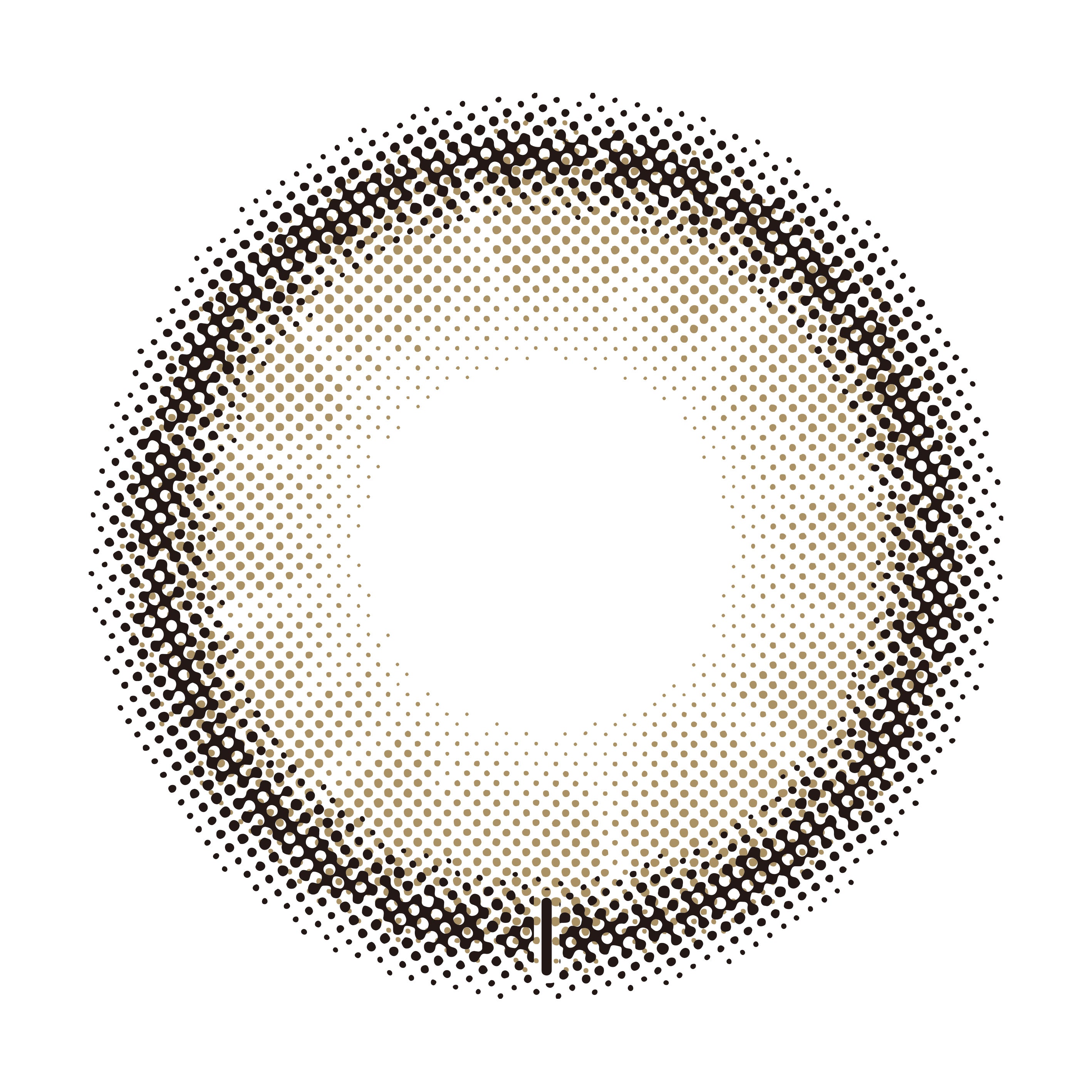 ดาซึรุสีเทา เลนส์โทริก | 1วัน