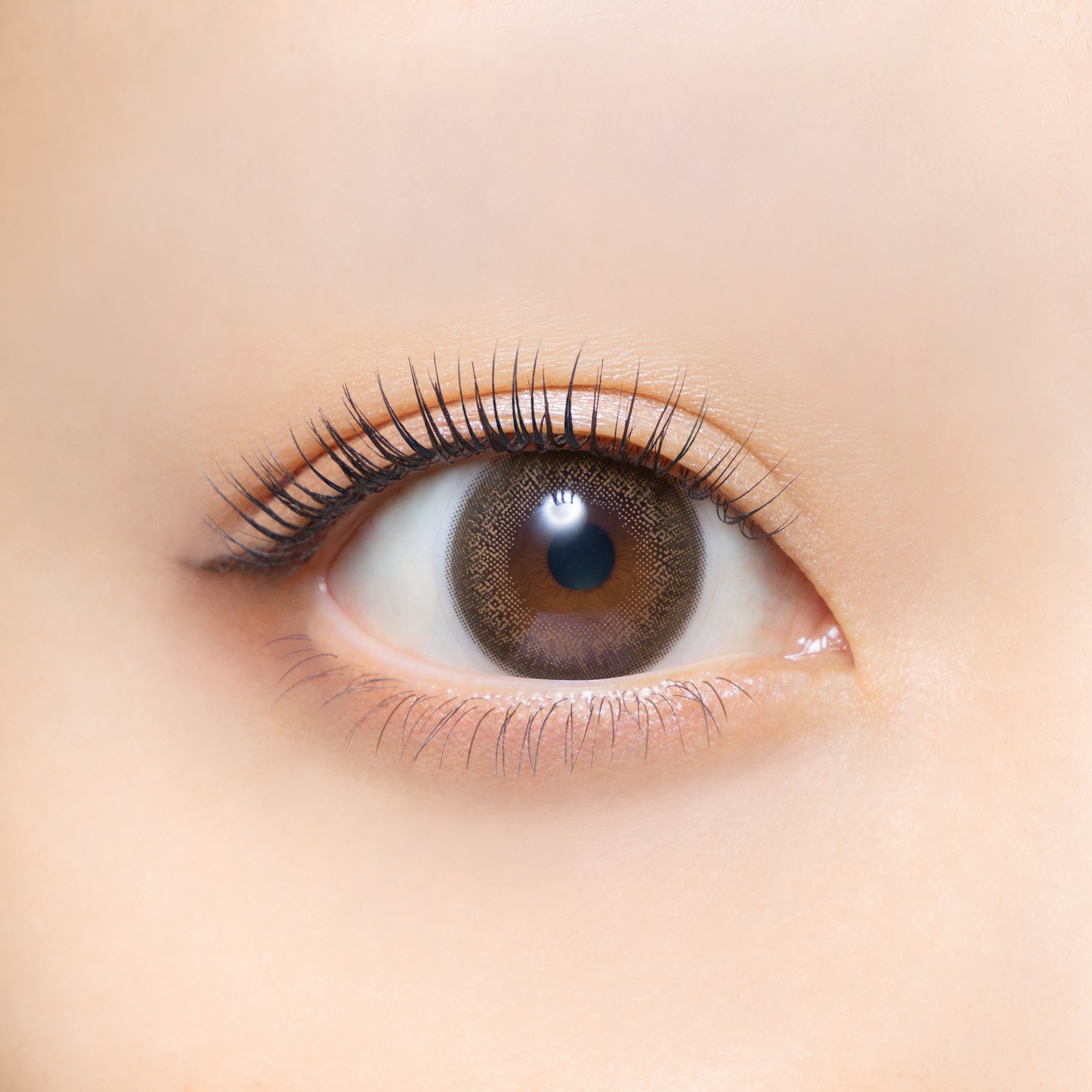 Kinh điểnMàu nâu | 1 ngày