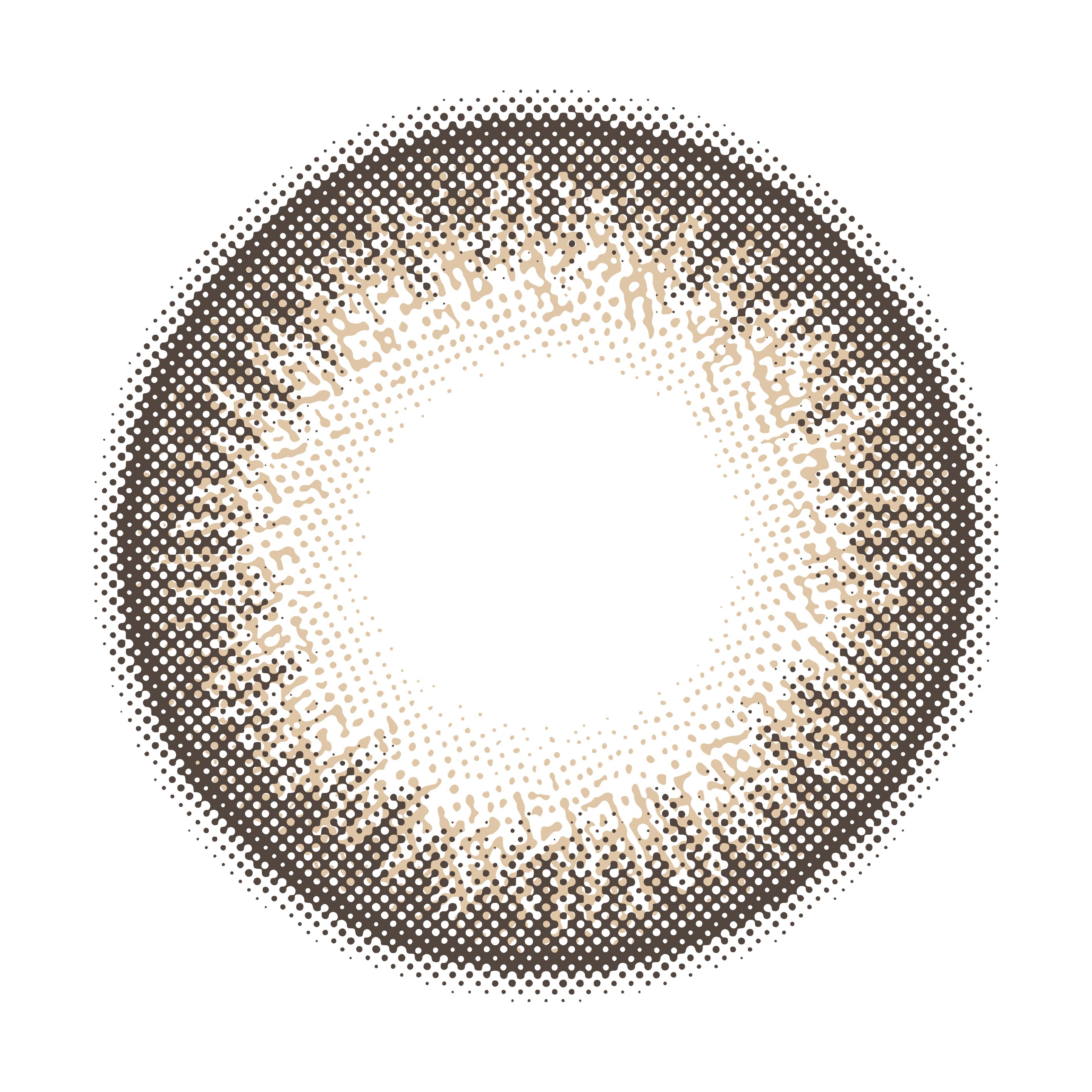 클래식브라운 | 1일용