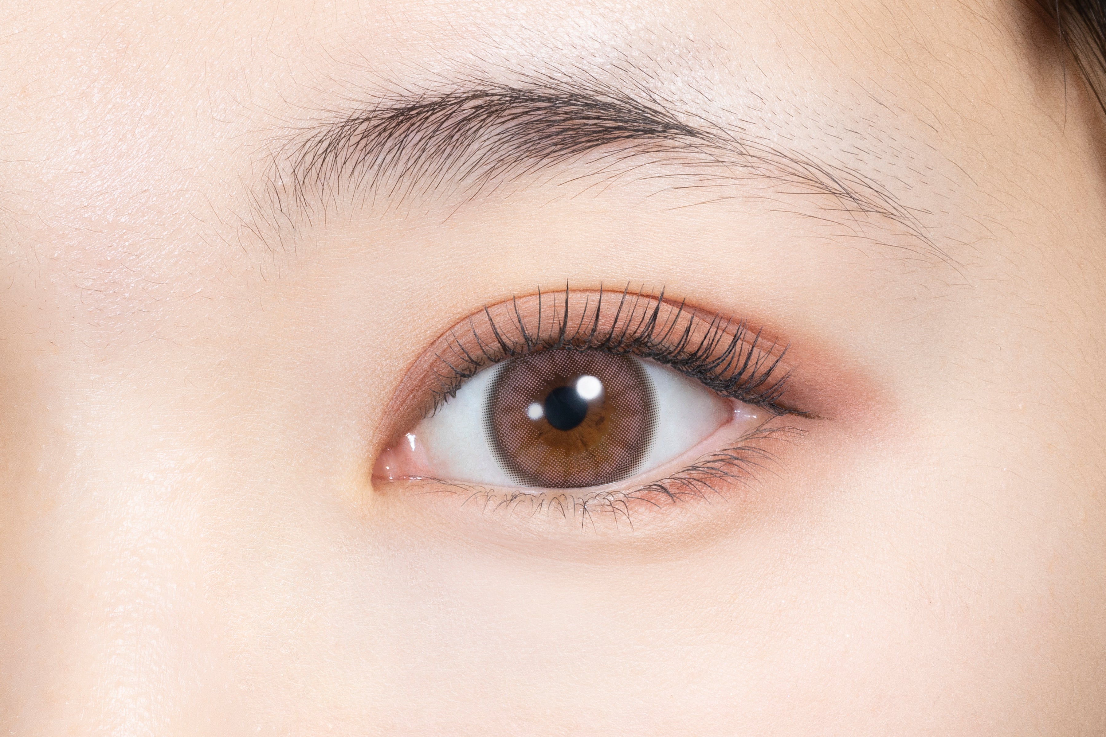 ไลออนพิงค์ | 1วัน