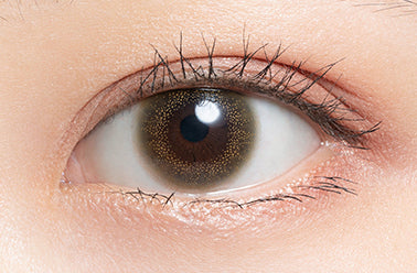 คาโมมีล | 1วัน