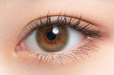 คาโมมีล | 1วัน