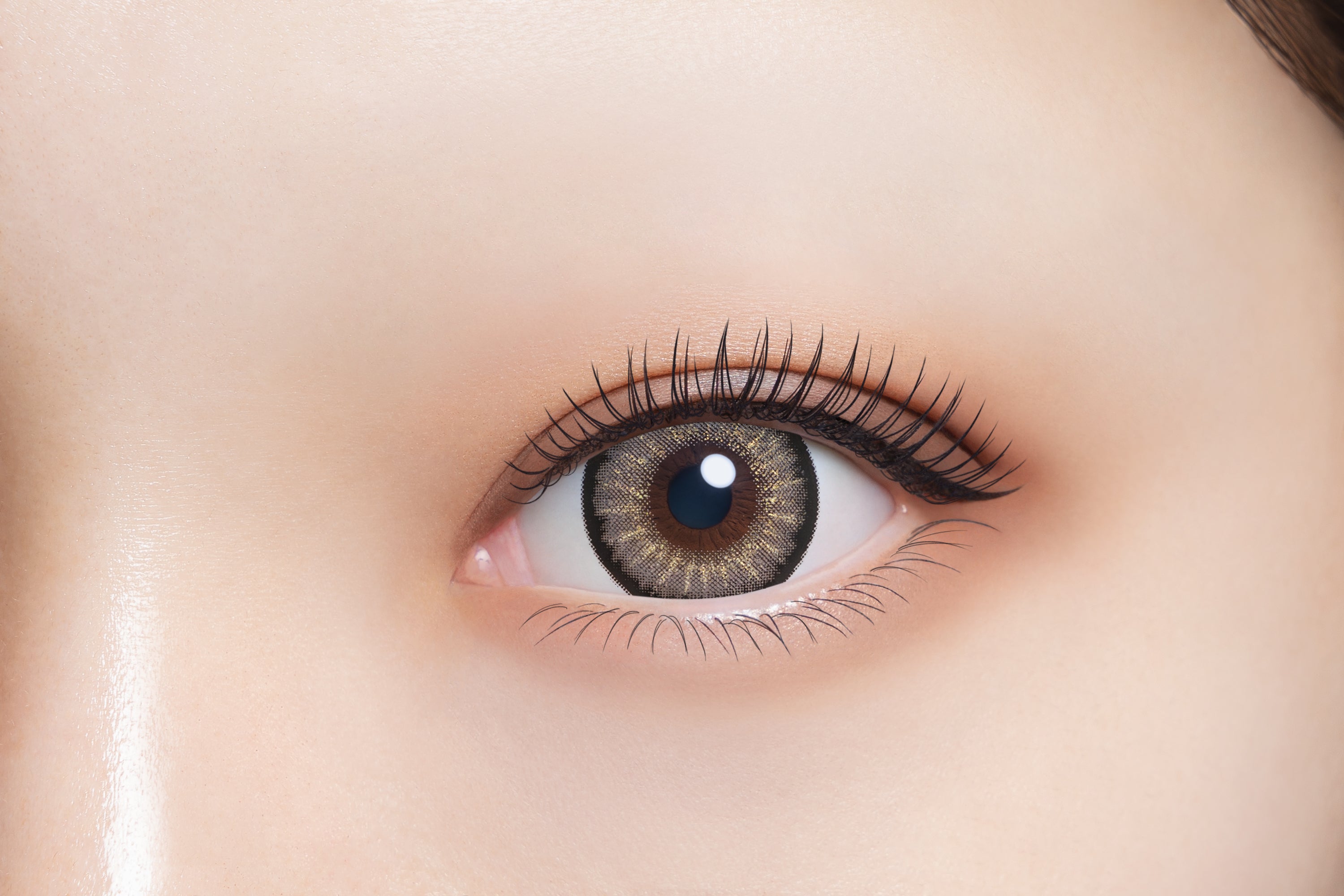 ไนท์สปาร์ค | 1วัน