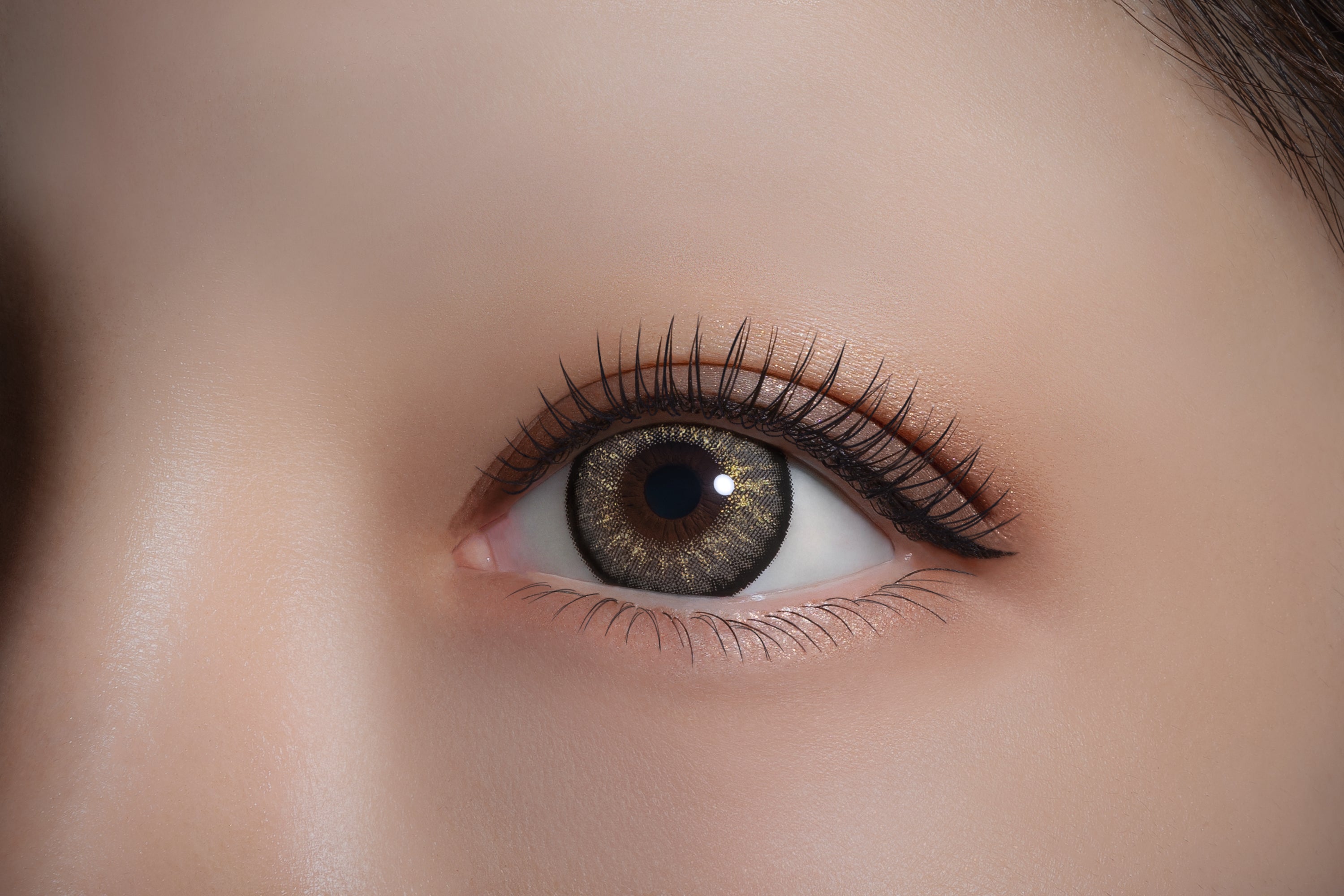 ไนท์สปาร์ค | 1วัน