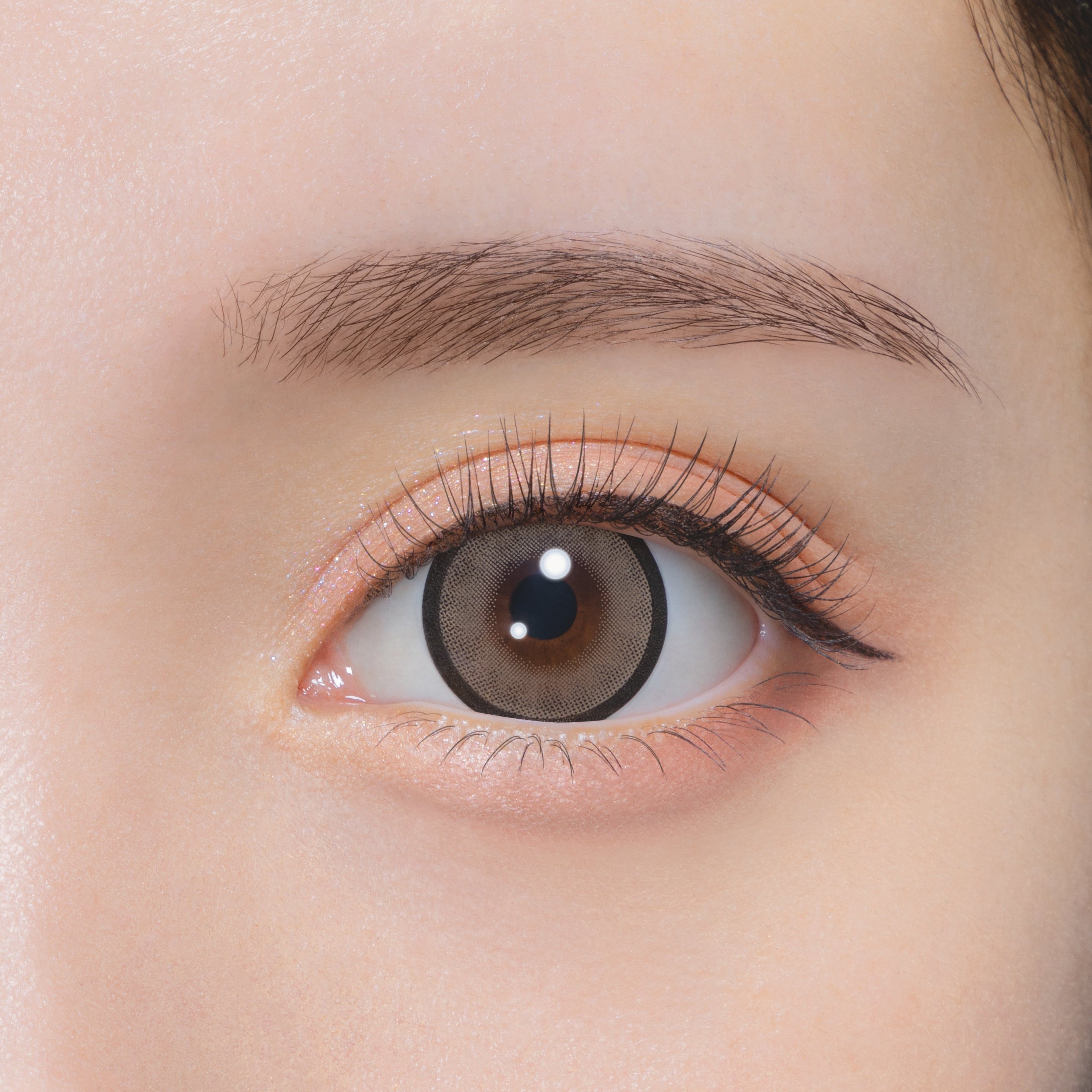 بيسكتبيج | 1 يوم