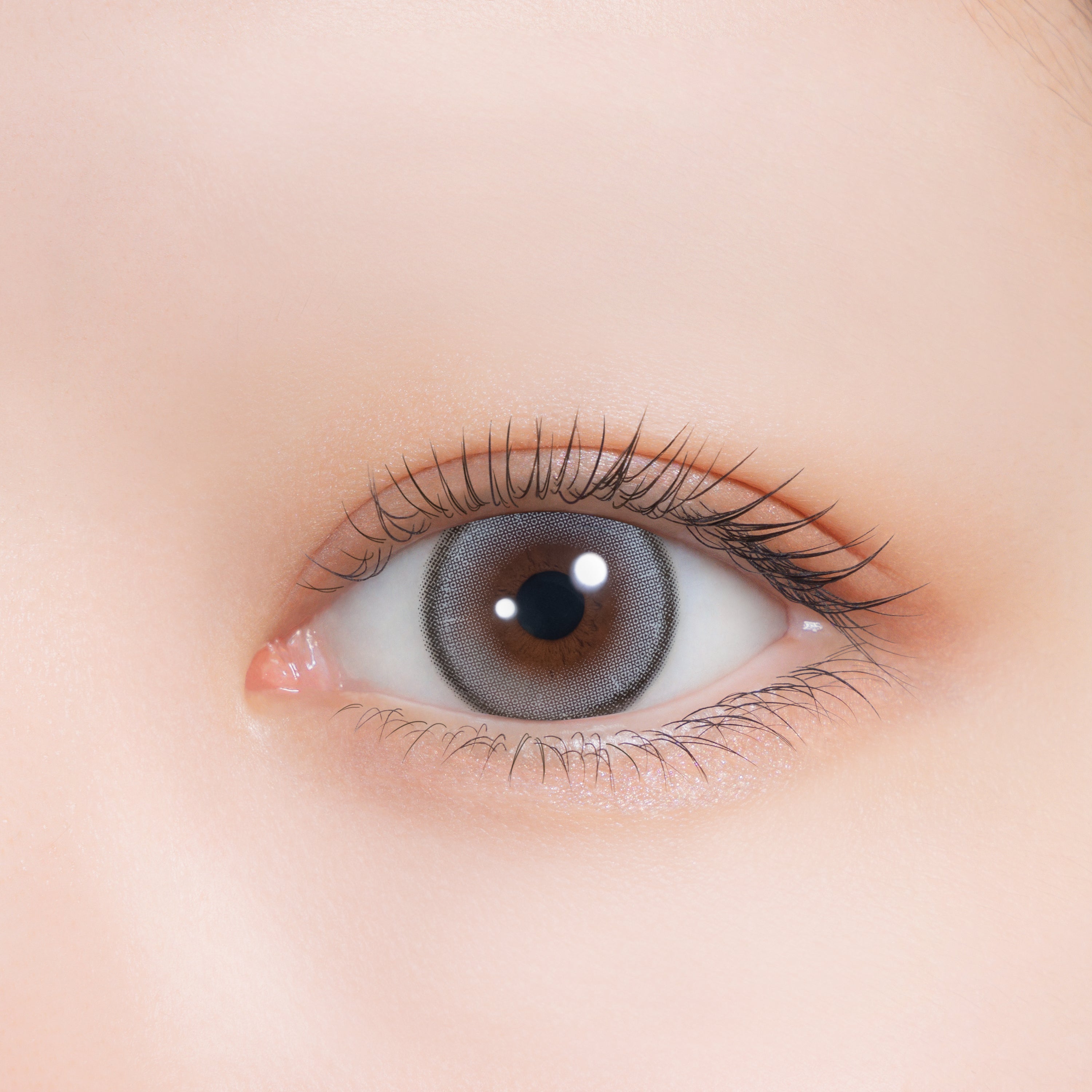 رويال مون | 1day