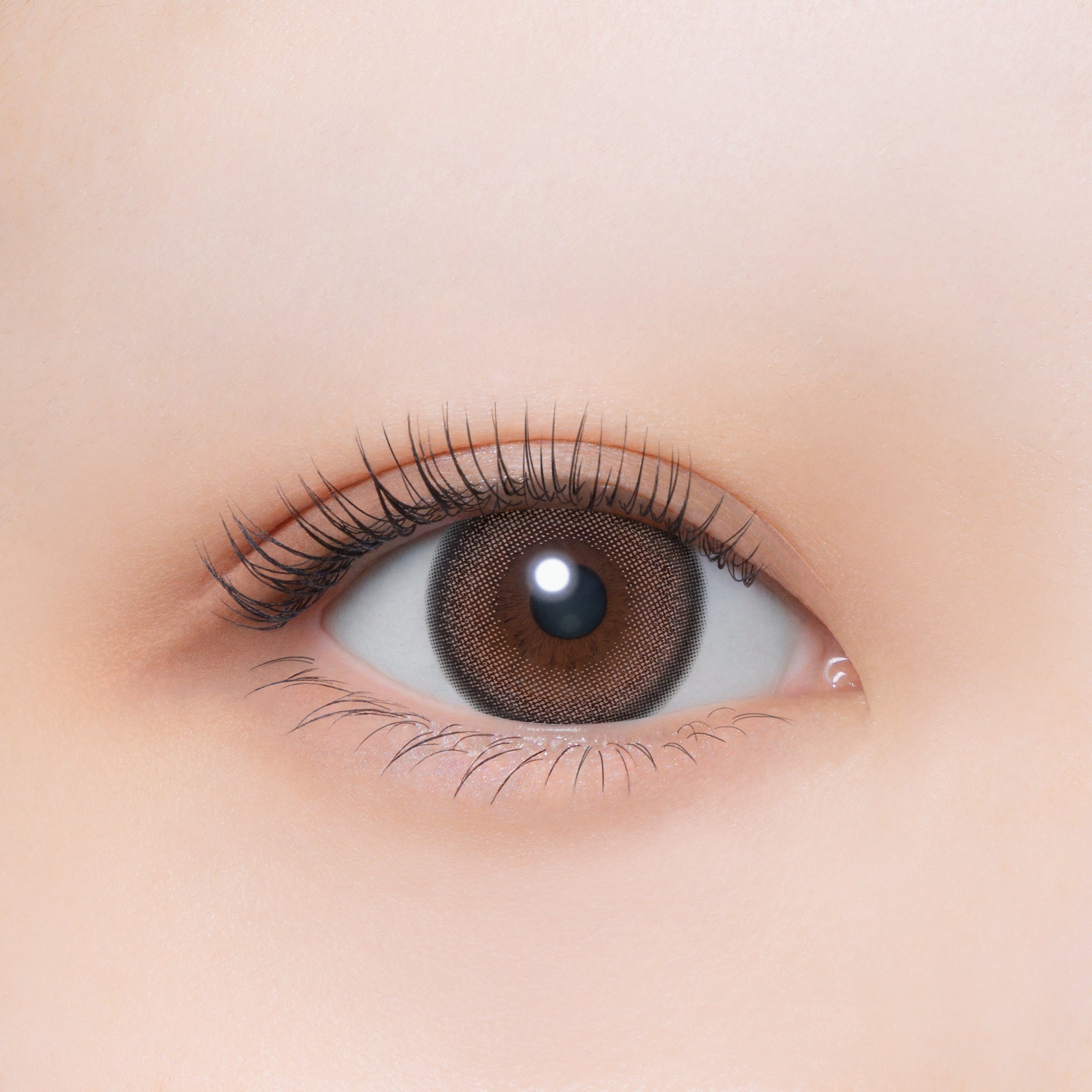 Poder do Macaco | 1day