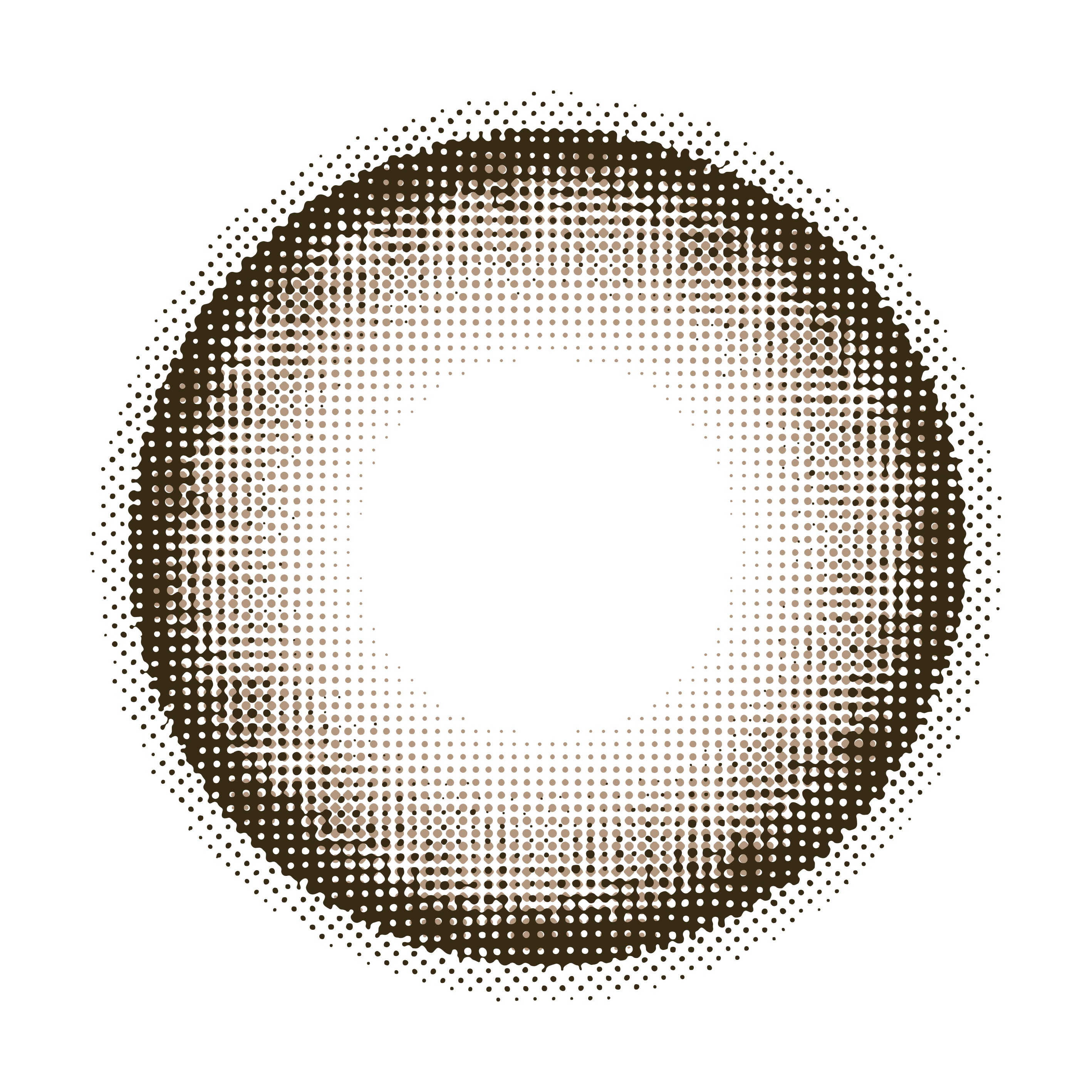 ทรูฟเกรย์ | 1day