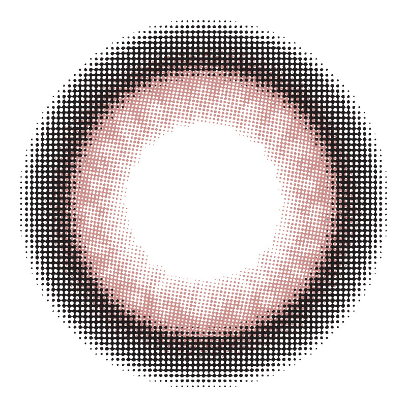 Bánh phô mai cho bé | 1 ngày