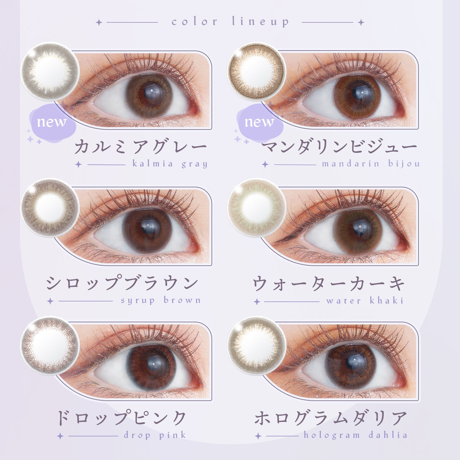 kalmia (en particulier laurier de montagne, Kalmia latifolia)Gris | 1 jour