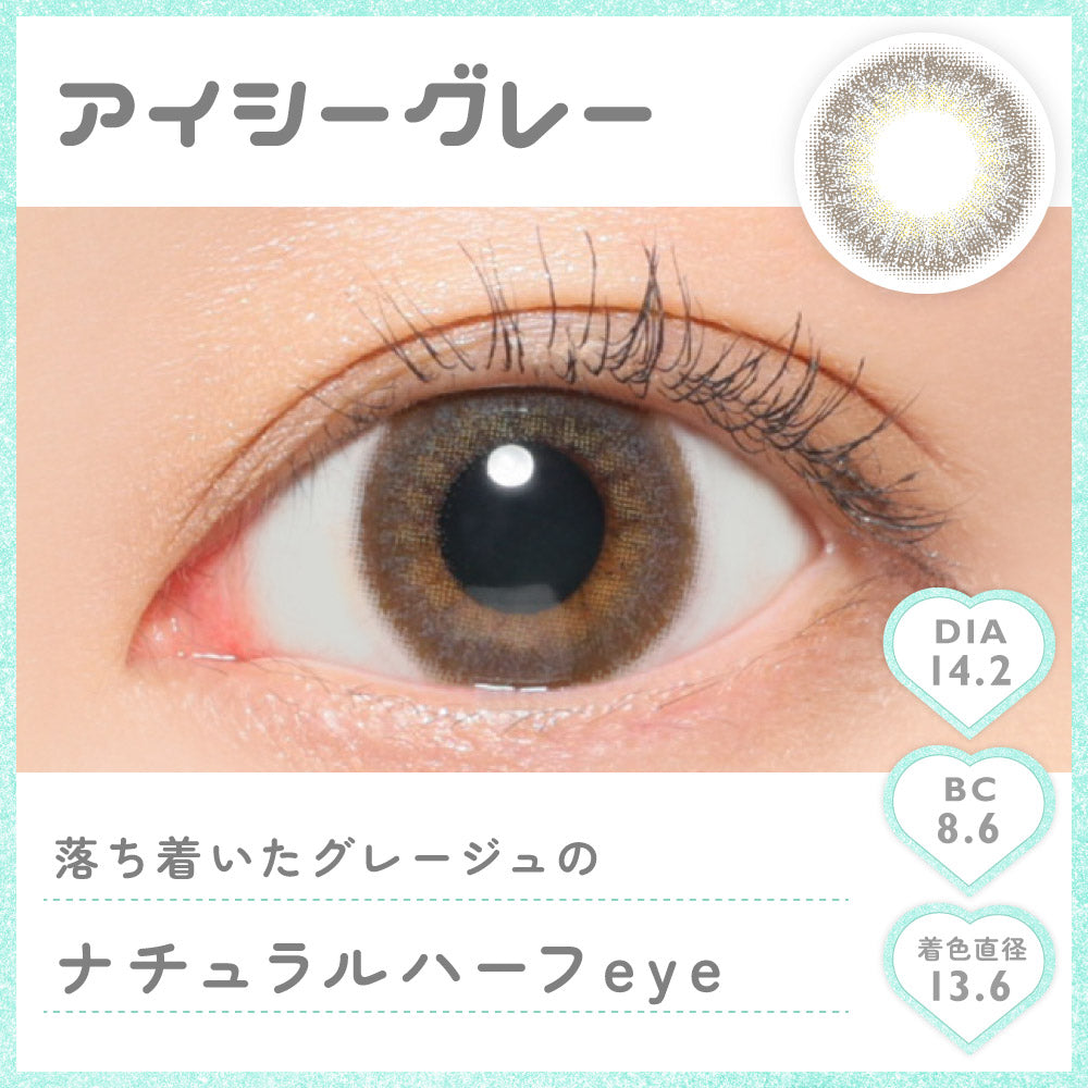 아이시그레이 1일용