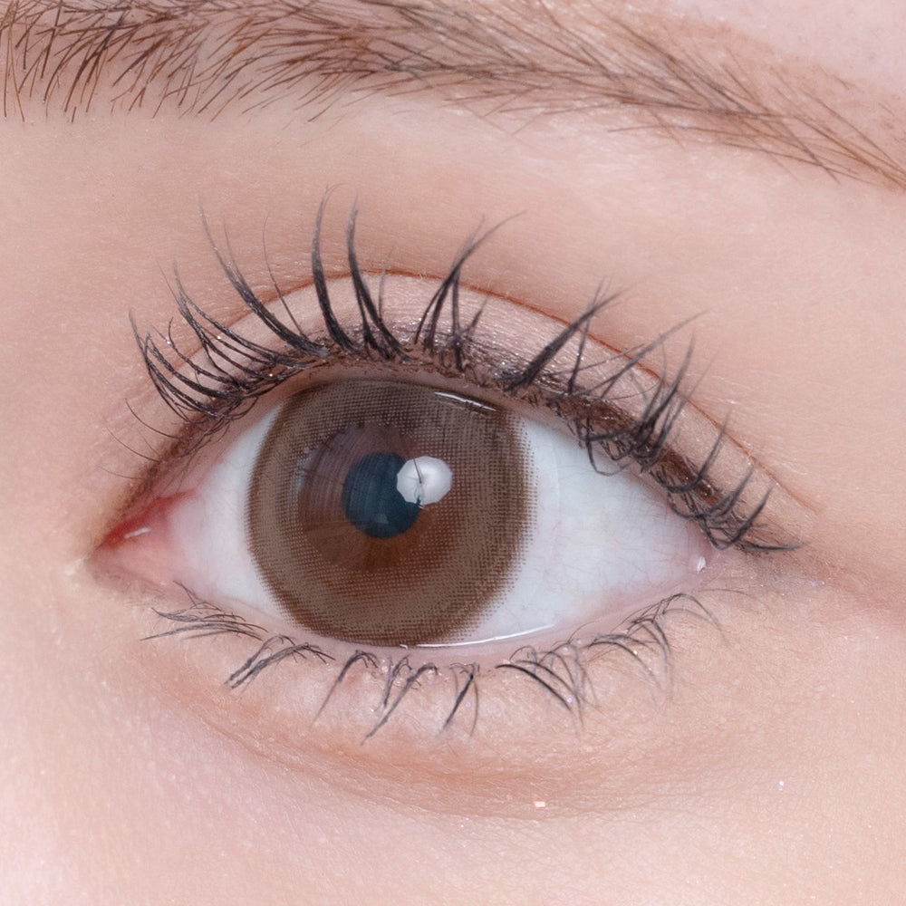 ตกปลาหมึก | 1วัน