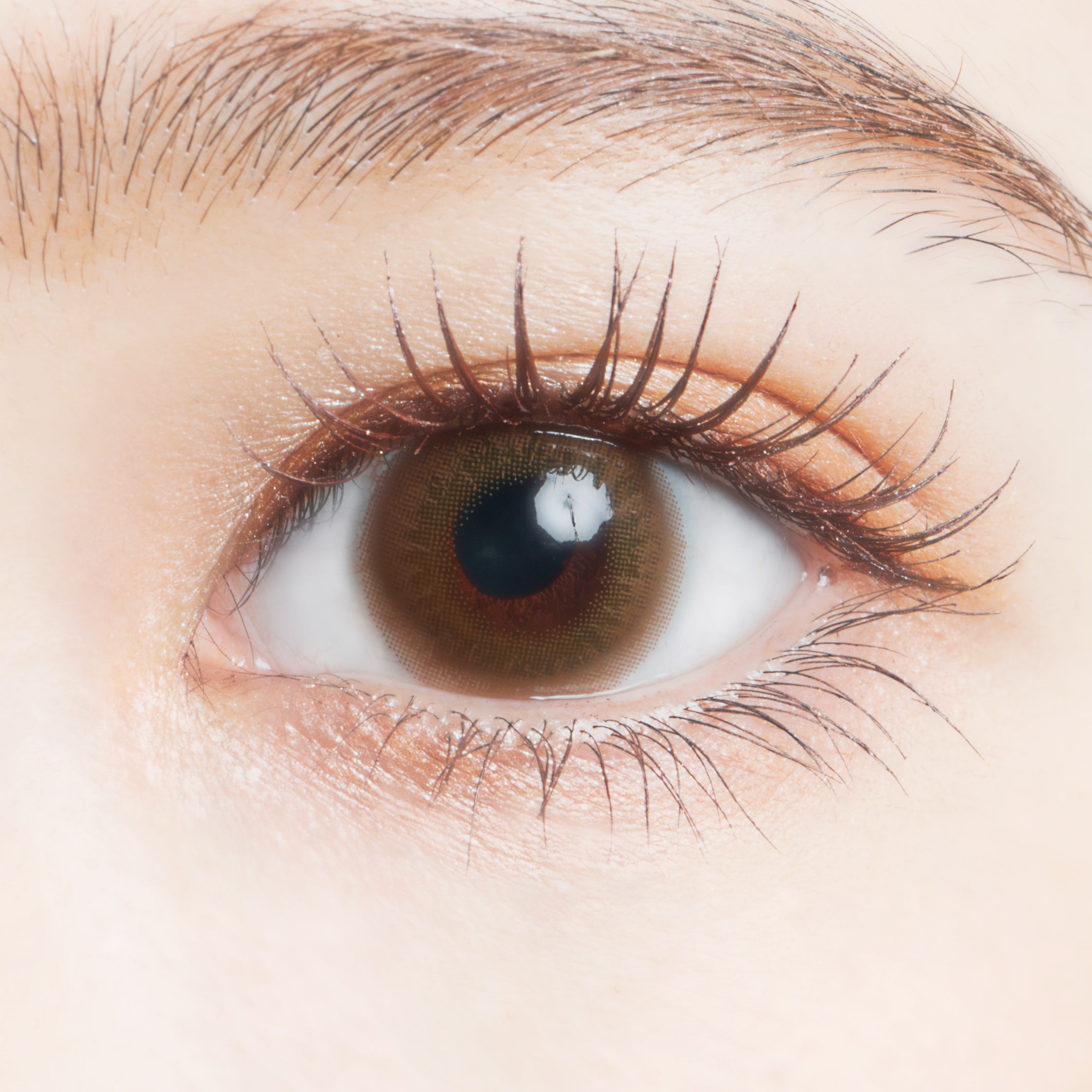 워터 카키 | 워터 카키 1일용