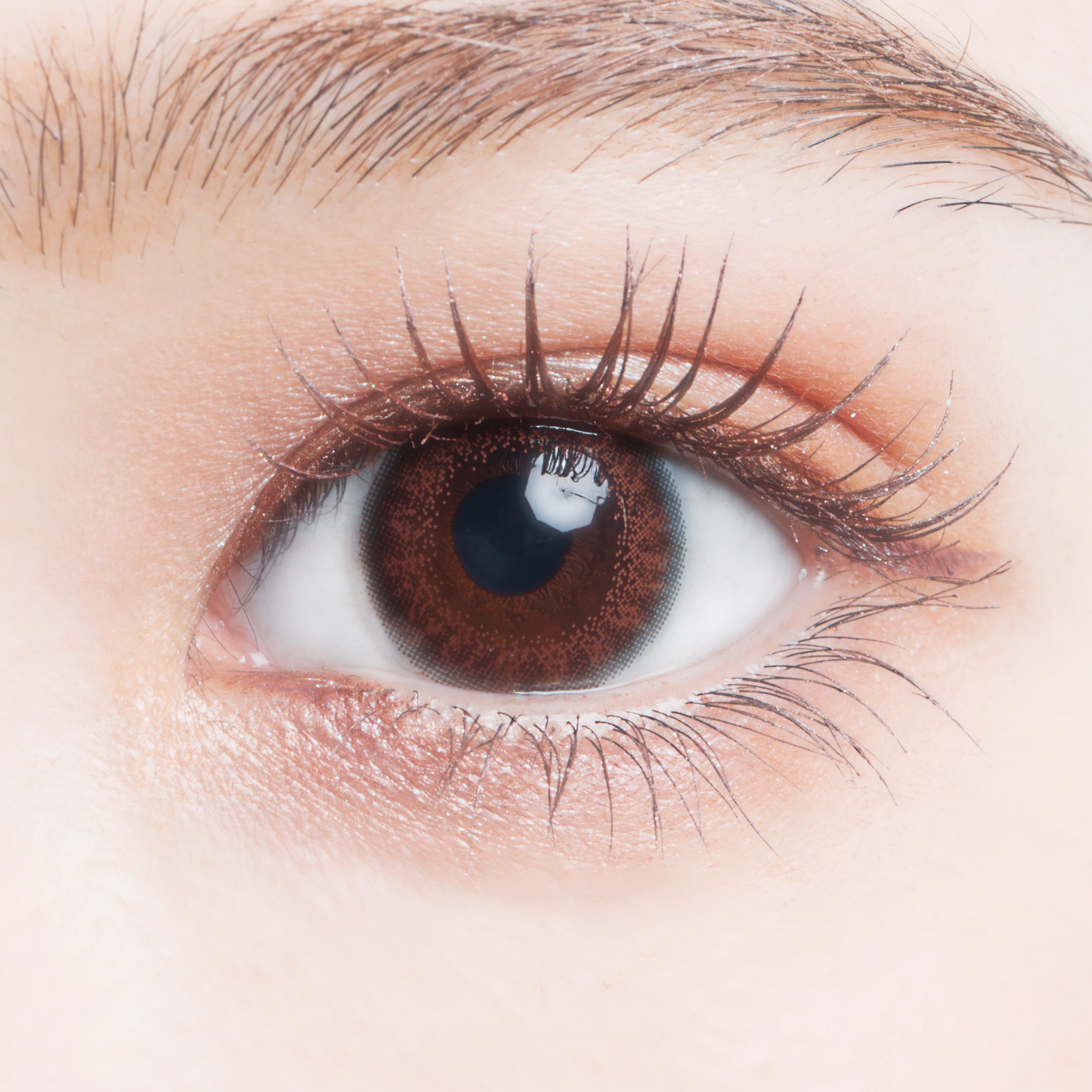 fallen lassenRosa | 1Tag