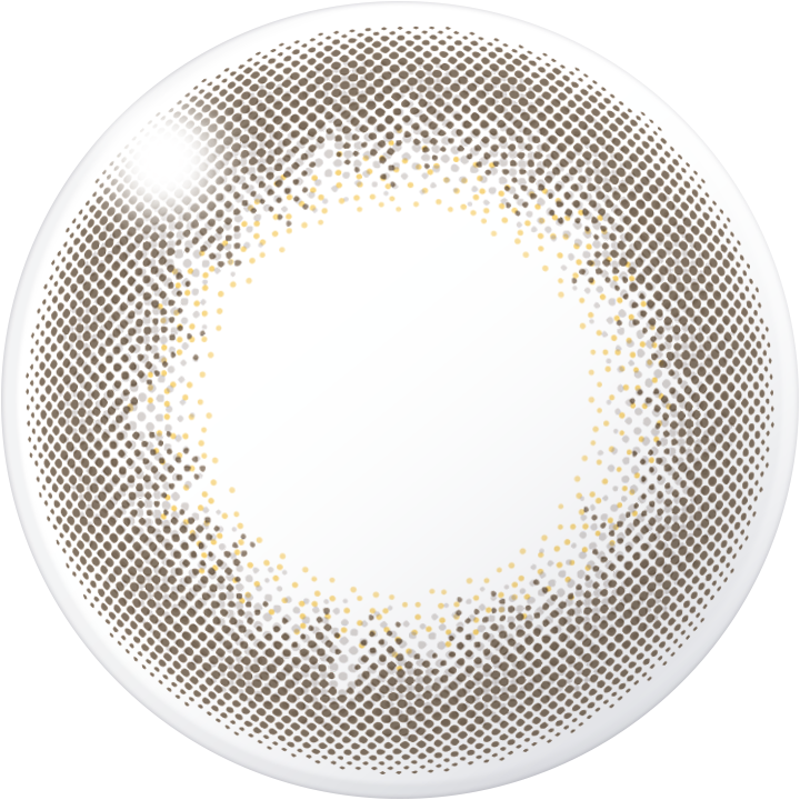 Kalmia (vor allem Berglorbeer, Kalmia latifolia)Gray | 1Tag