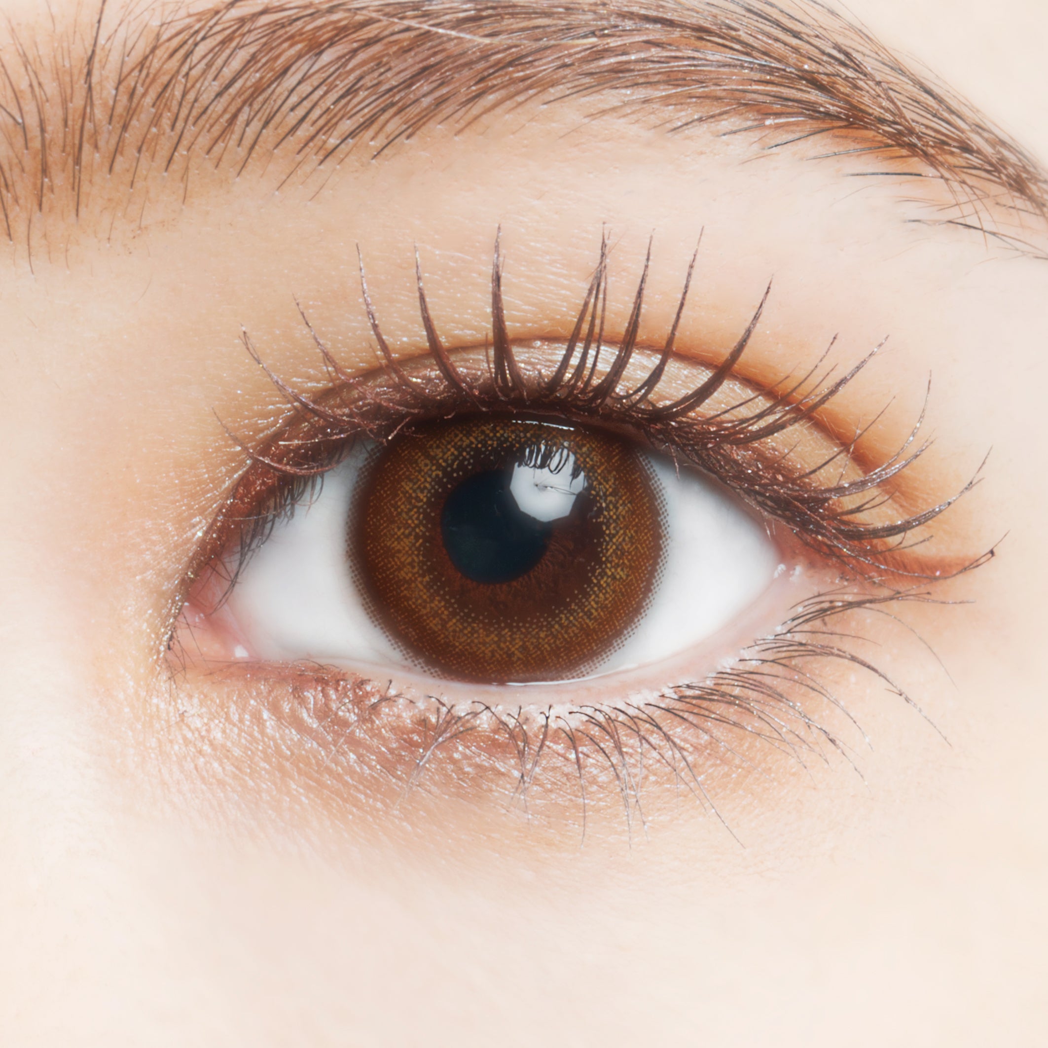 만다린뷰쥬 | 만다린 1일용