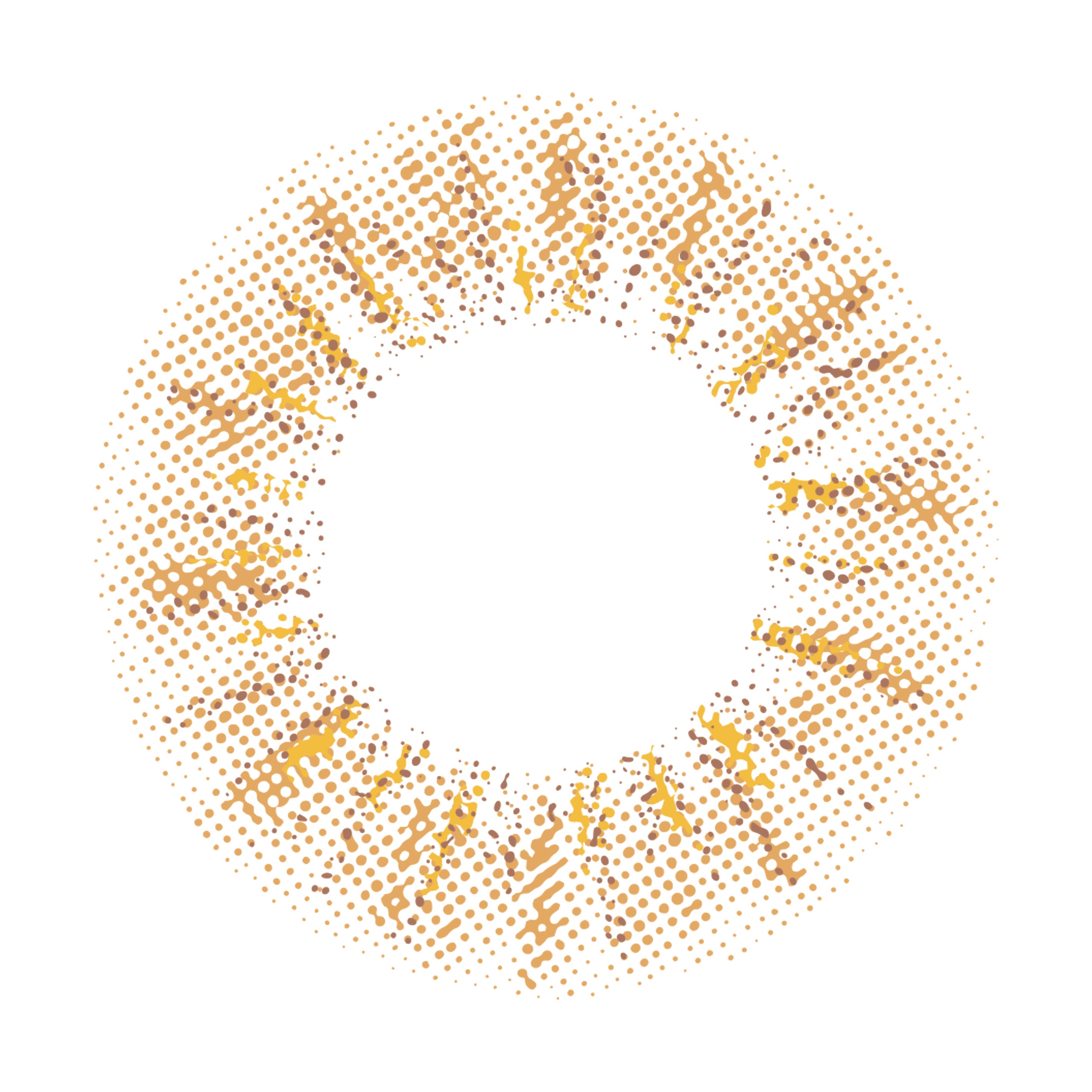 ซีเคร็ตชุชุสีน้ำตาล | 1วัน