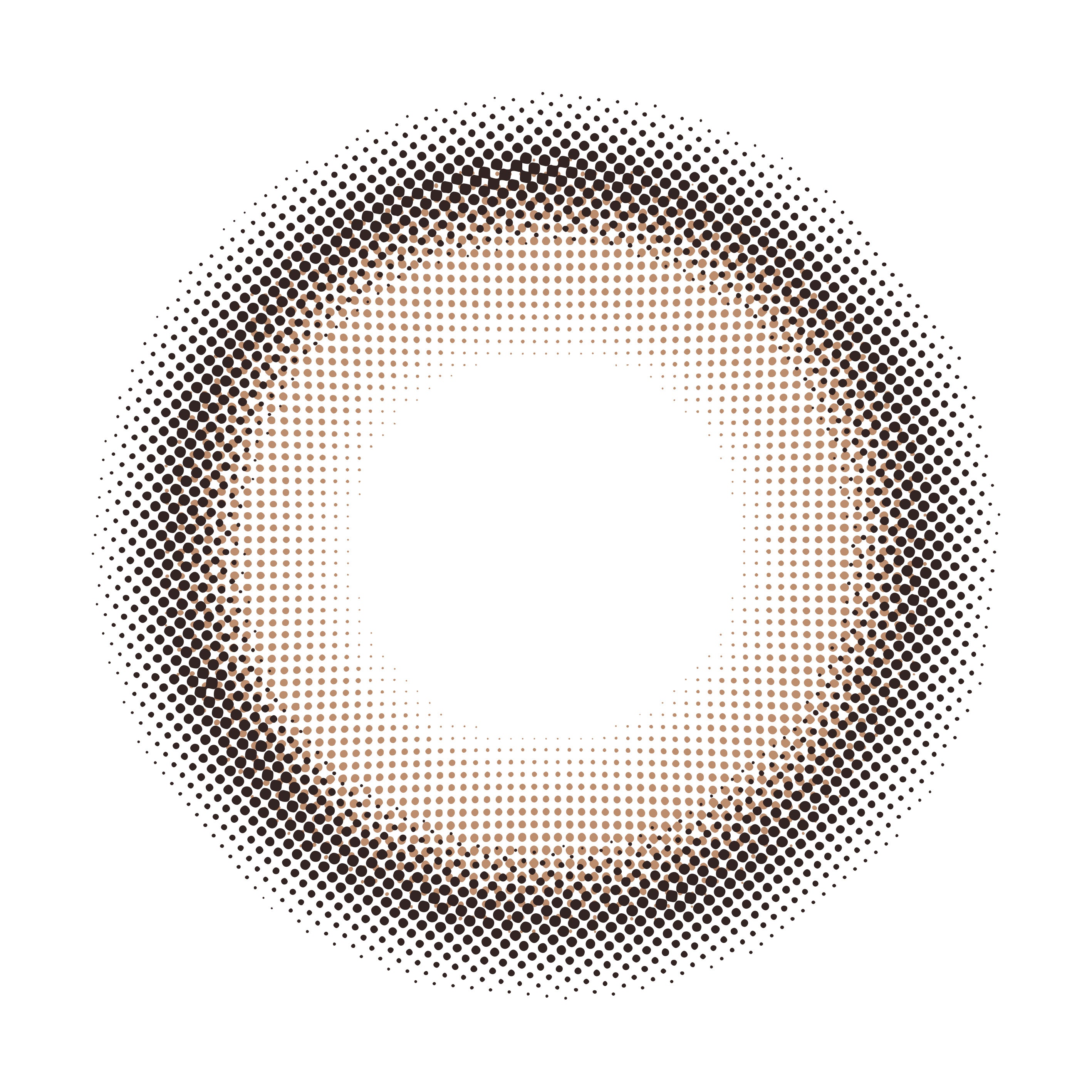 ホイップสีน้ำตาล | 1วัน