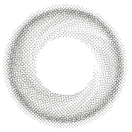 Americano・Cinza | 1day