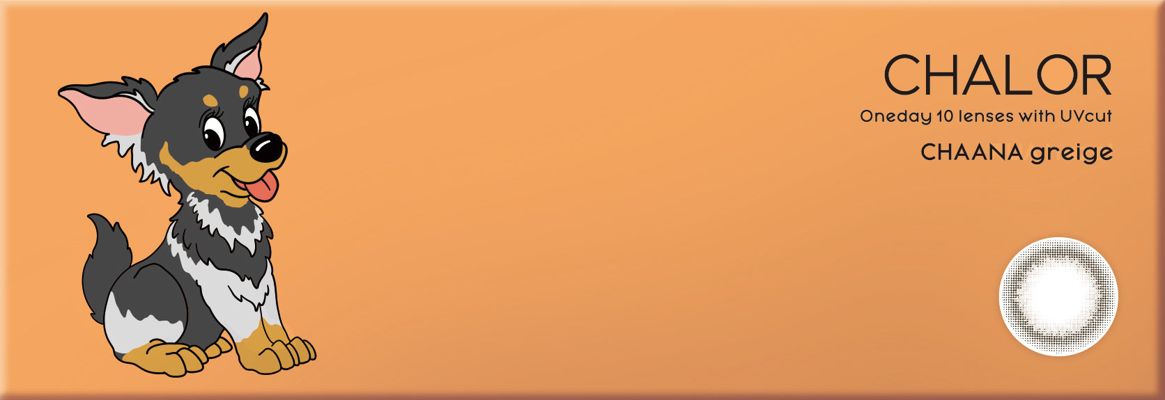 churna (Lates calcarifer)Greige | 1 dia