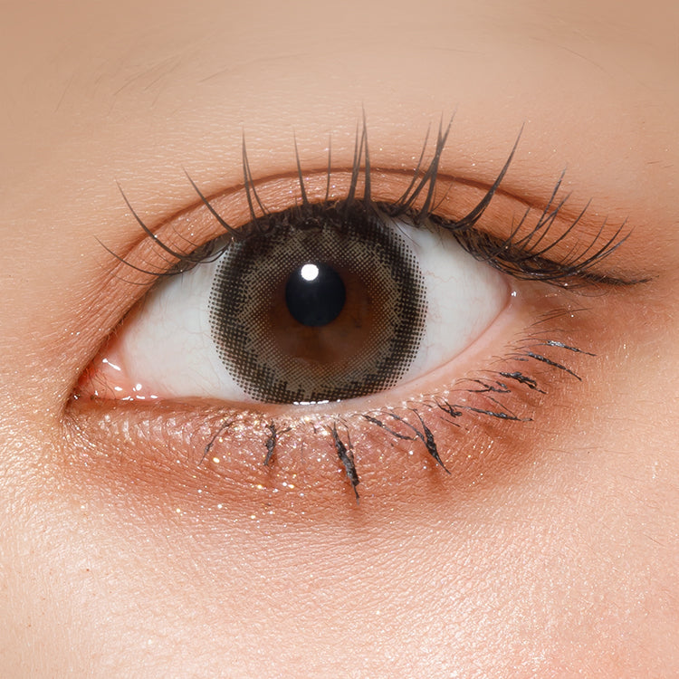 churna (Lates calcarifer)Greige | 1 dia