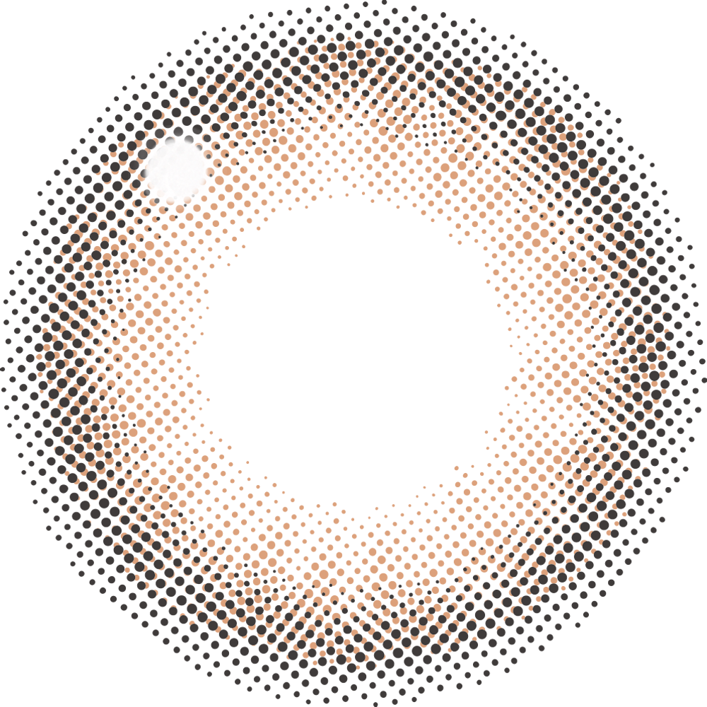 dataMarrone | 1 giorno