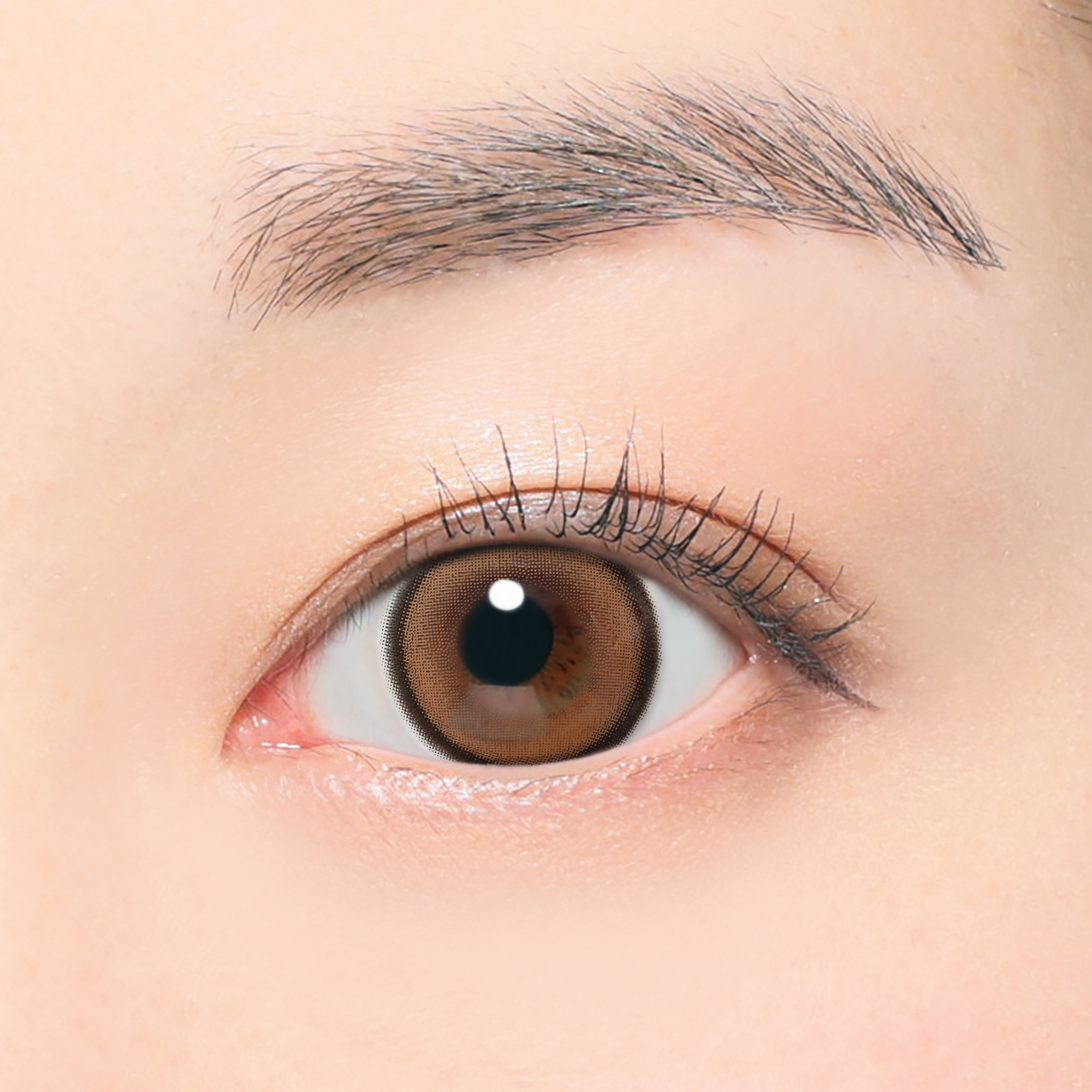 Giai điệuMàu nâu | 1 tháng