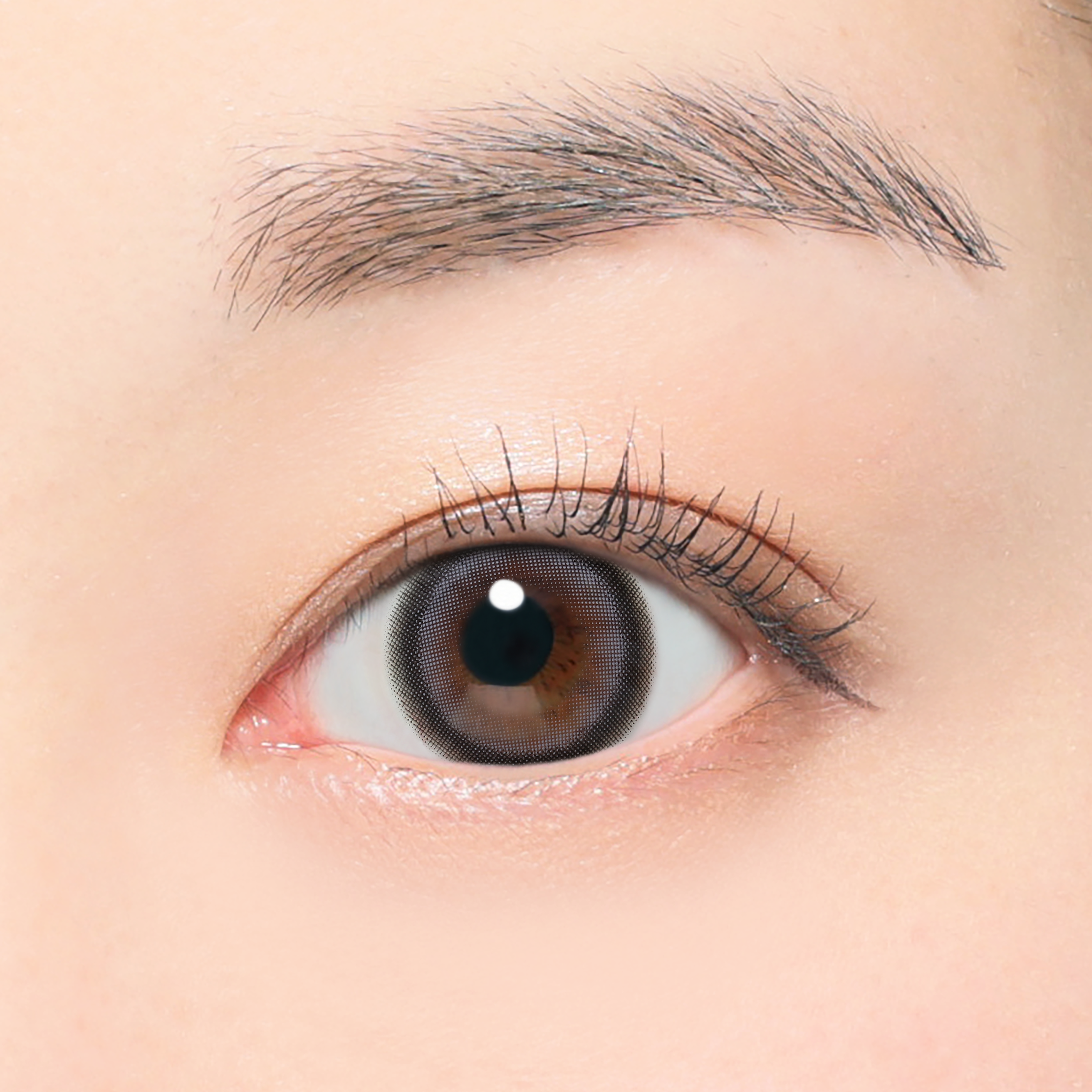 미미회색 | 1개월용