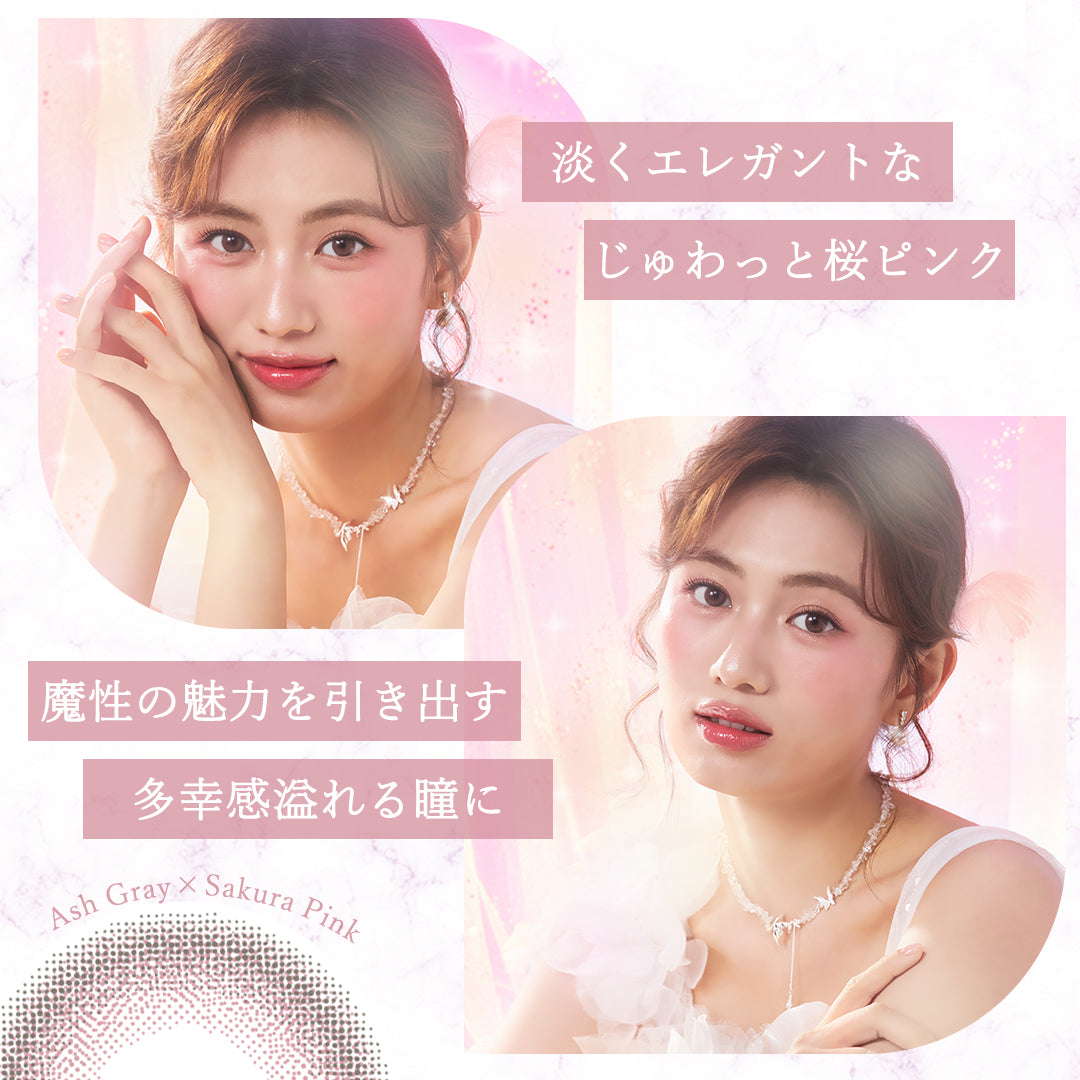 Cerejeira em flor 1 dia