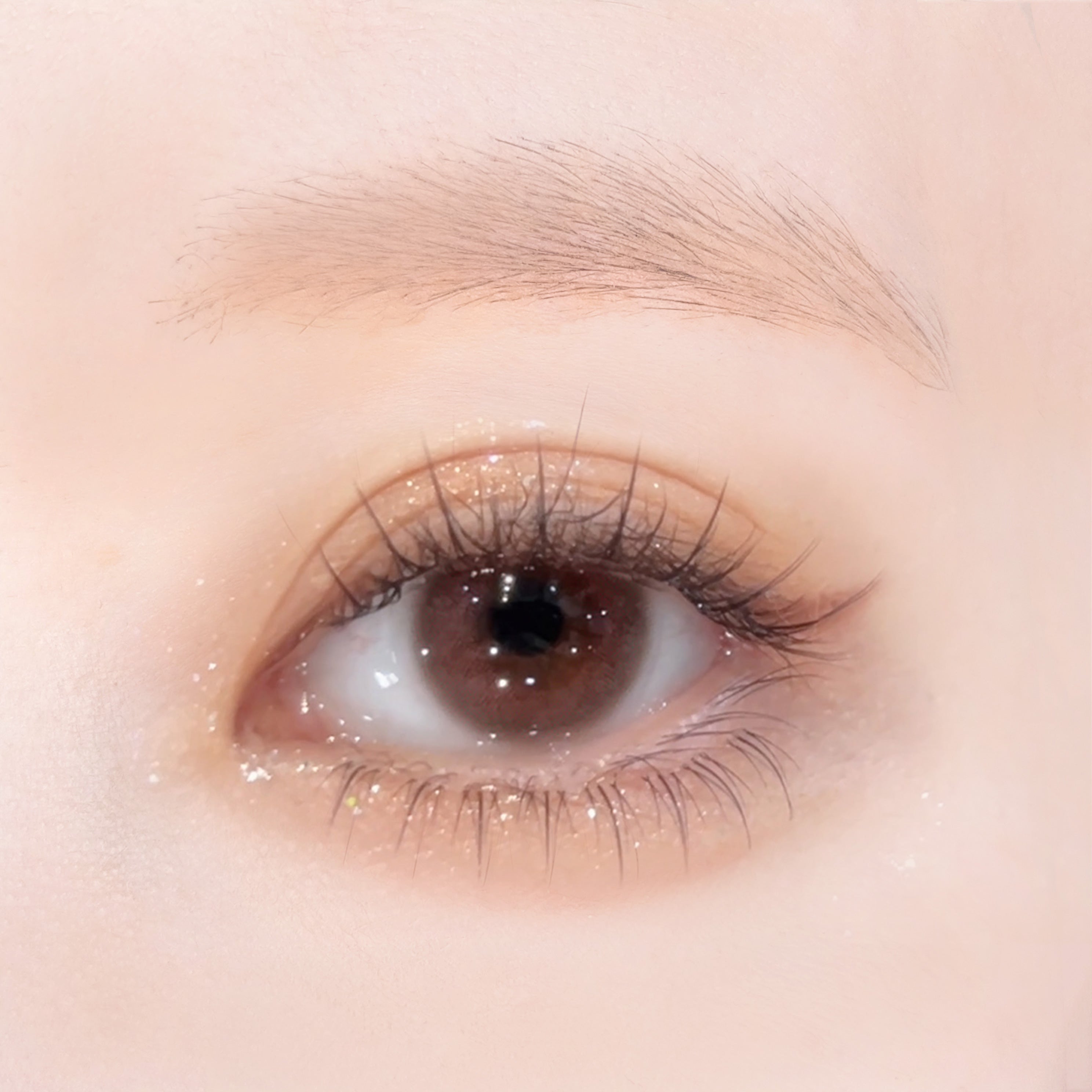 Cerejeira em flor 1 dia