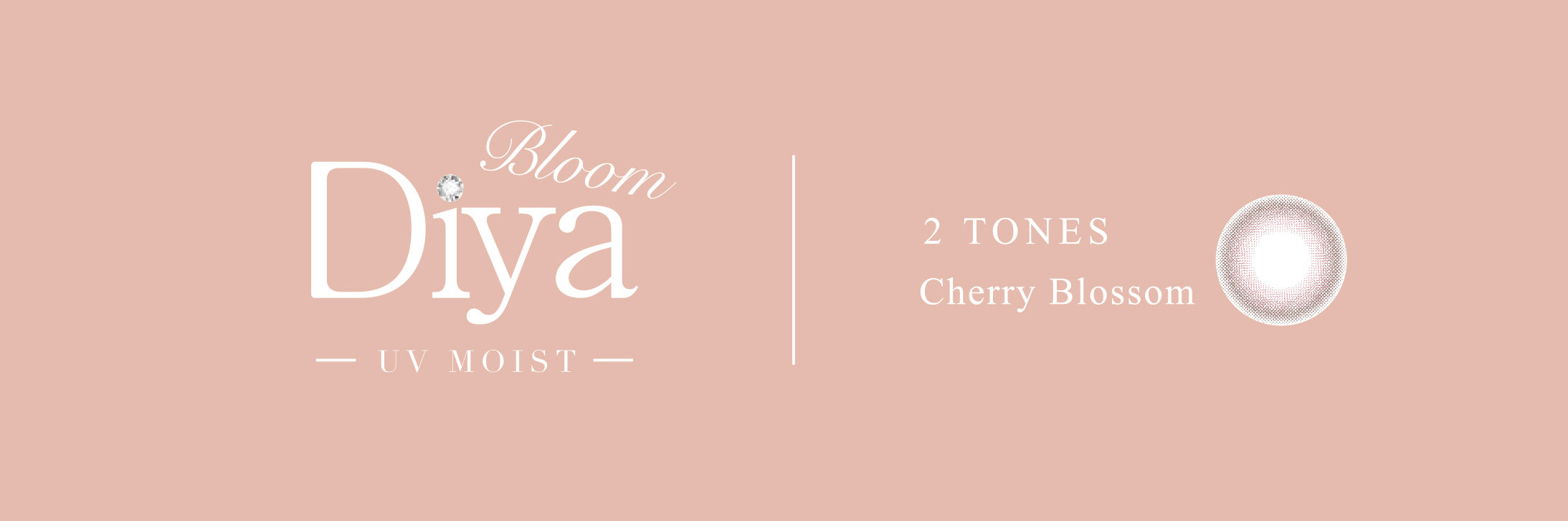 Cerejeira em flor 1 dia