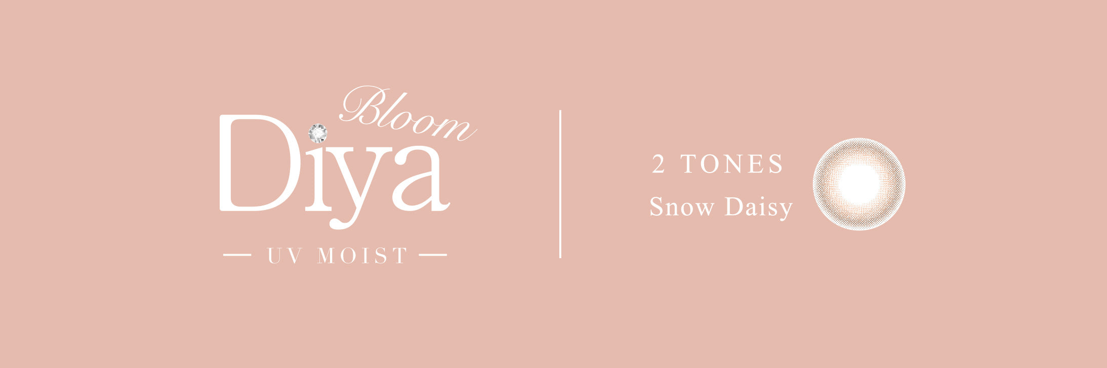 Snow Daisy |. 1 jour