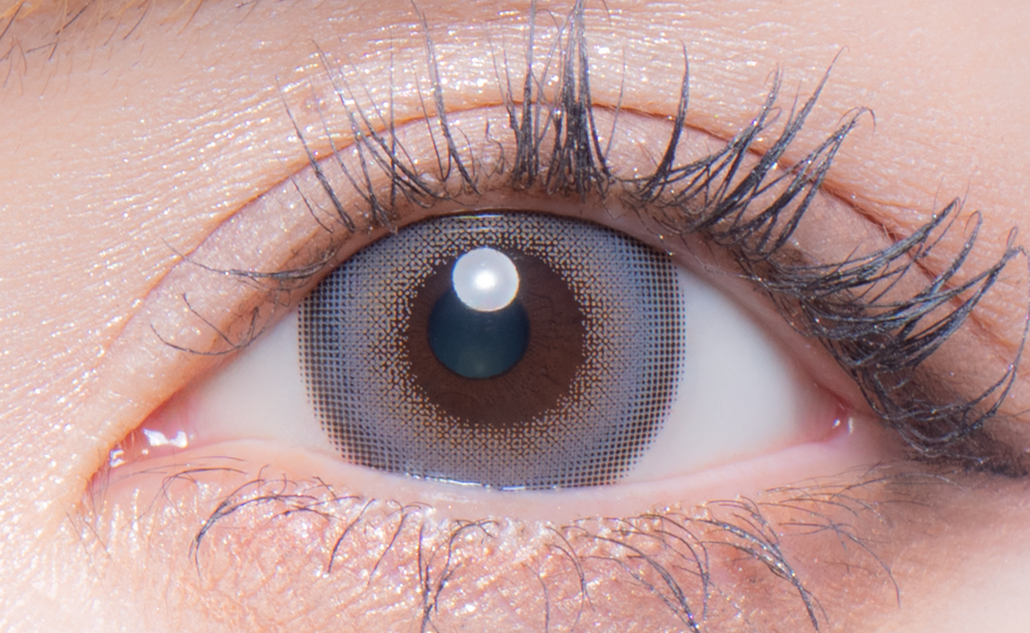 스파크링회색 | 1일용