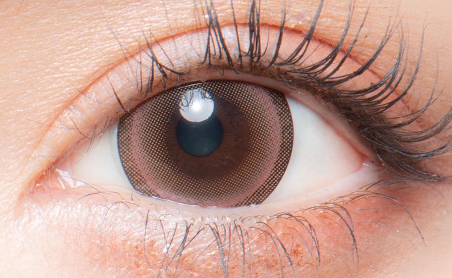 CampurkanSilky Brown | 1bulan