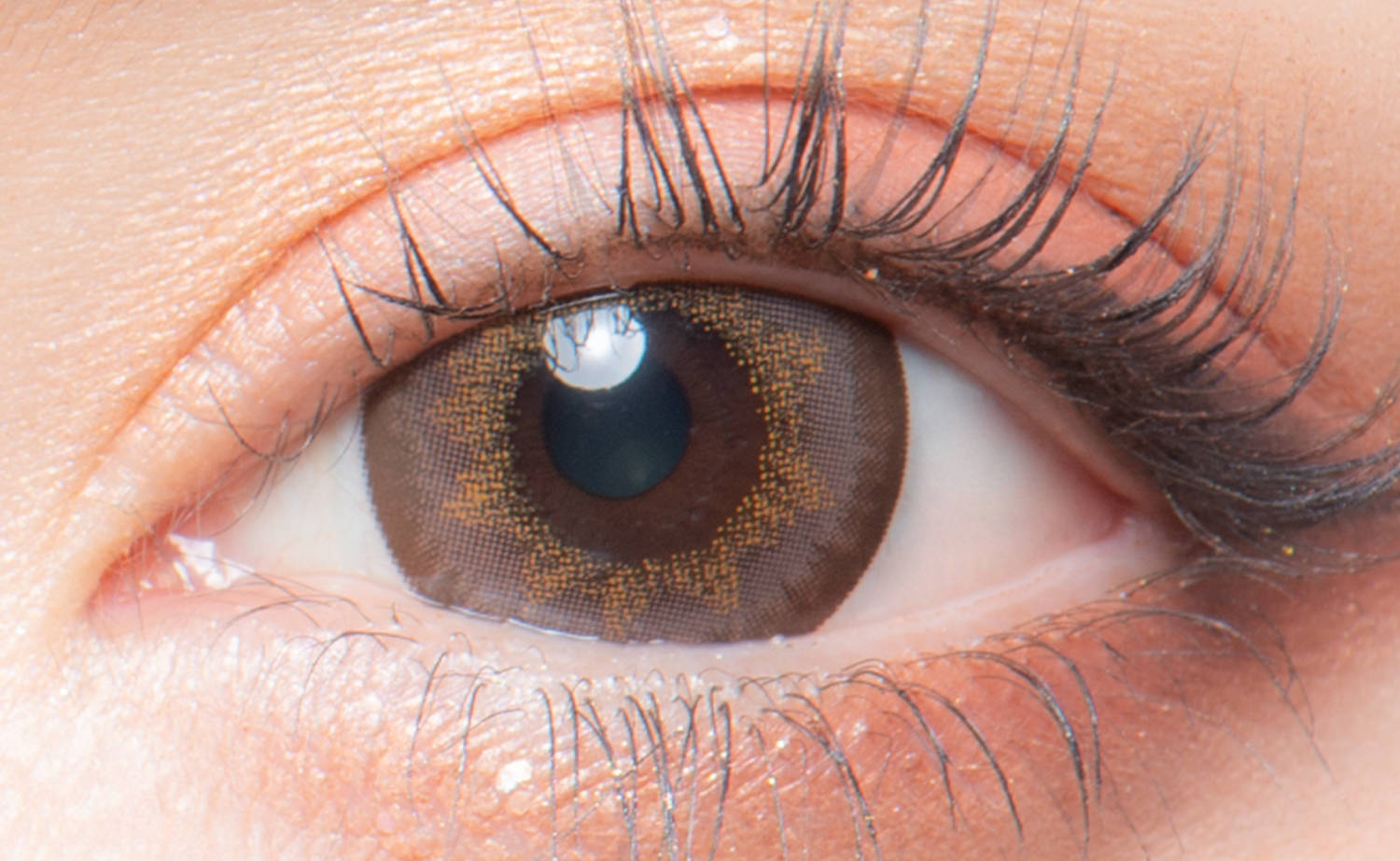 MegaMàu nâu | 1 tháng