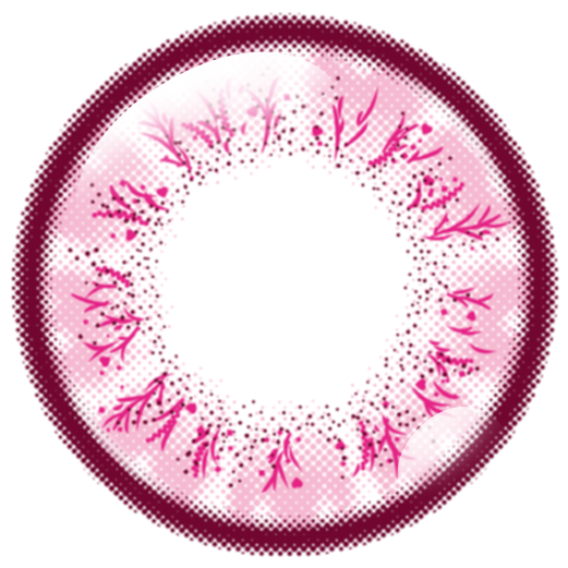 เปียโน | 1วัน