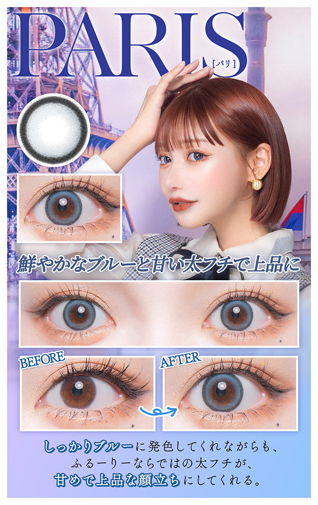 파리 | 파리 1일용