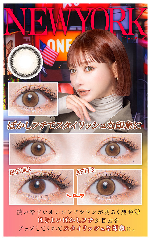 뉴욕 | 뉴욕 1일용