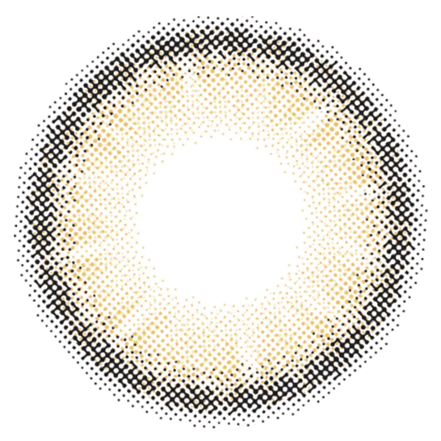 시부야 | 시부야 1일용